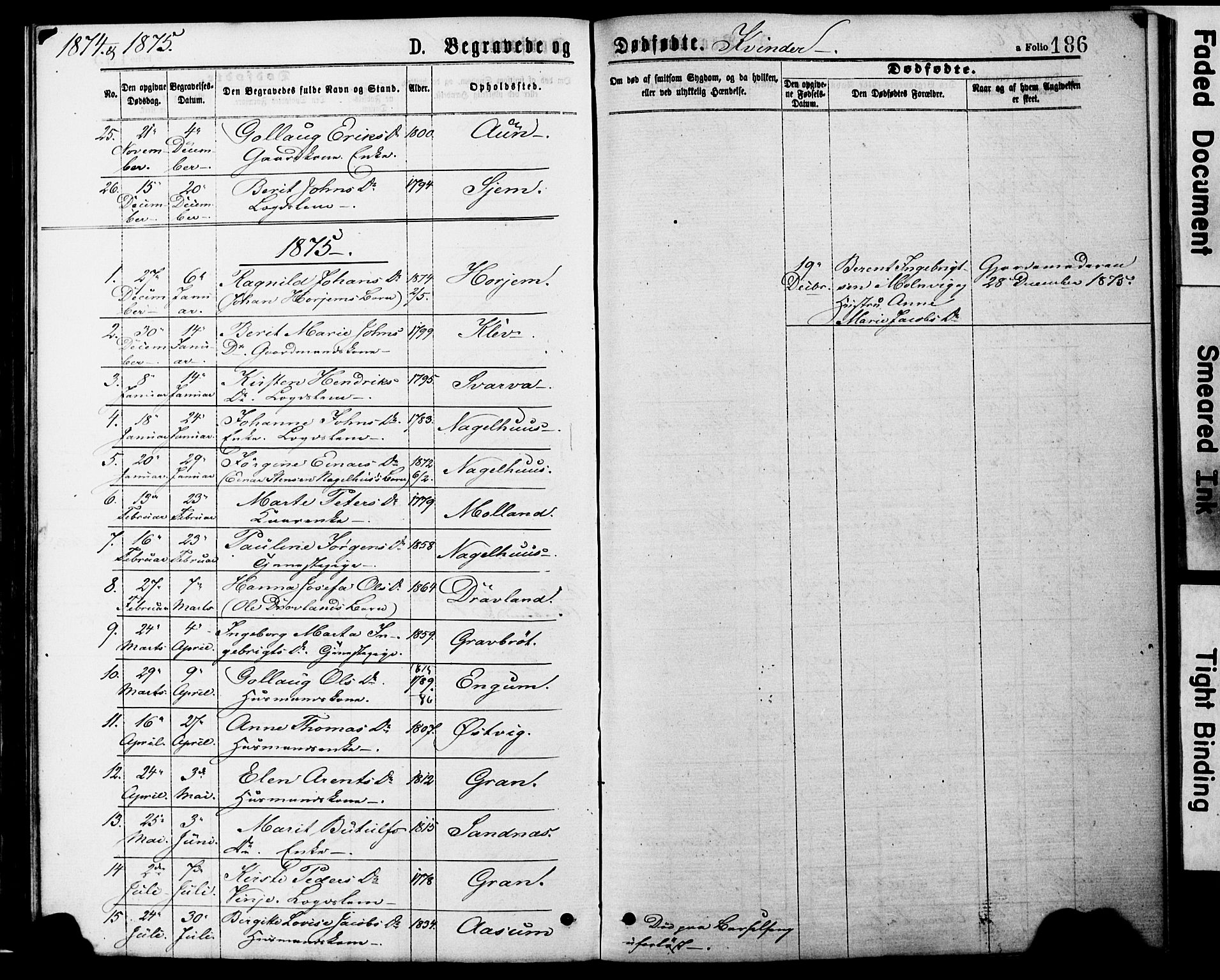 Ministerialprotokoller, klokkerbøker og fødselsregistre - Nord-Trøndelag, SAT/A-1458/749/L0473: Parish register (official) no. 749A07, 1873-1887, p. 186