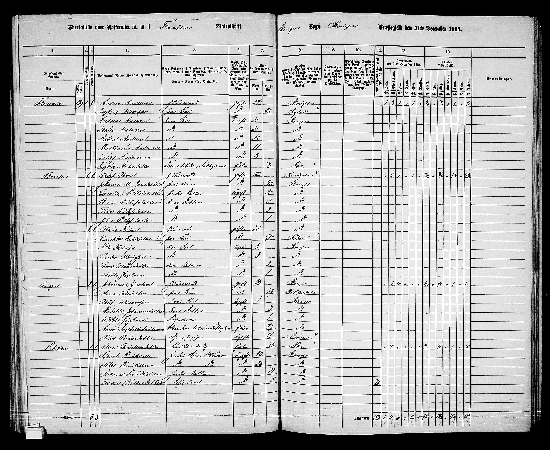 RA, 1865 census for Skoger, 1865, p. 87