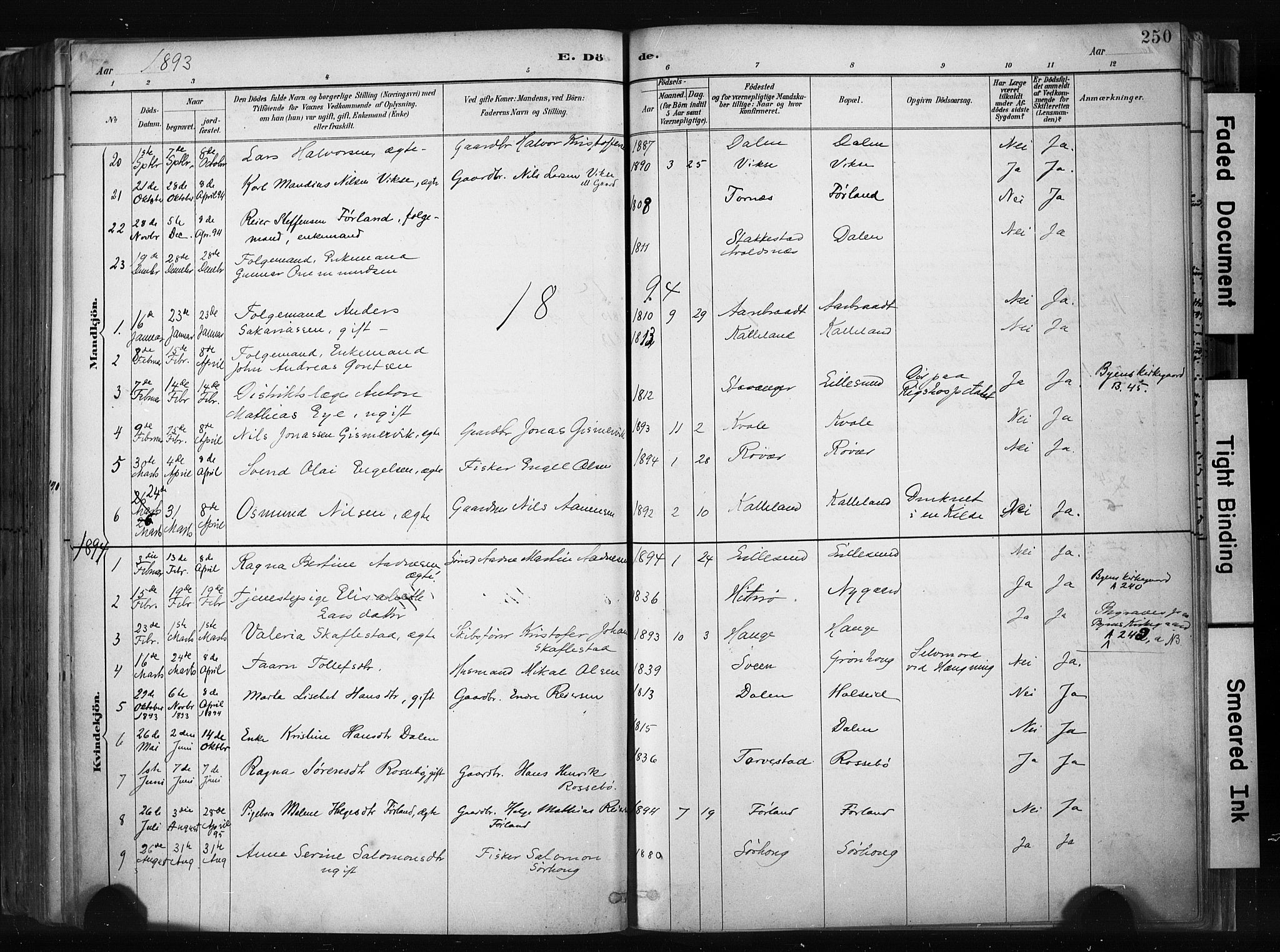 Haugesund sokneprestkontor, AV/SAST-A -101863/H/Ha/Haa/L0004: Parish register (official) no. A 4, 1886-1908, p. 250