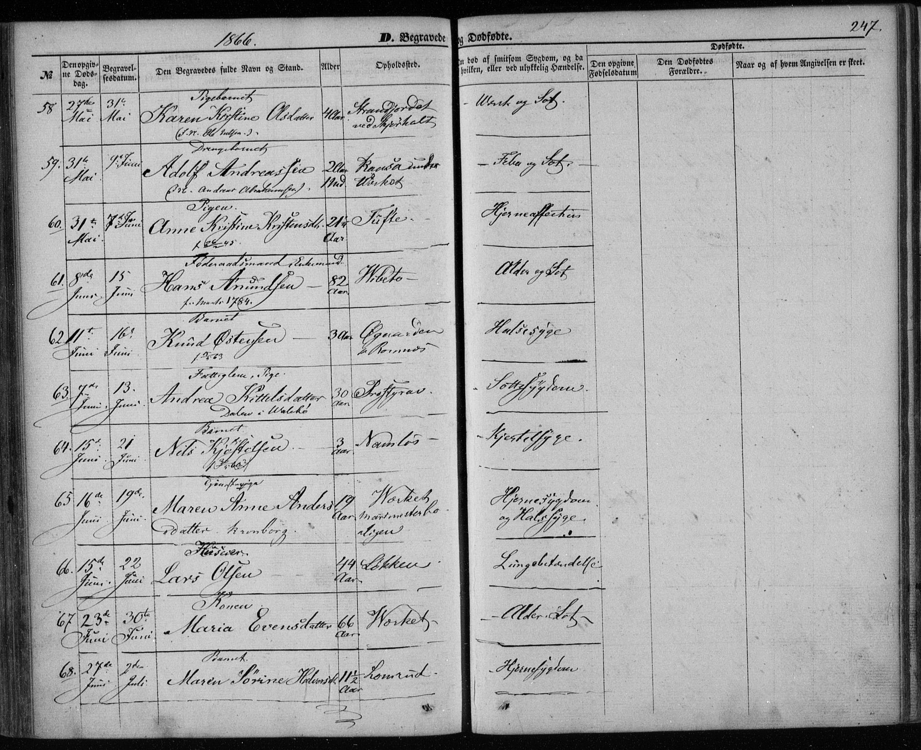 Holla kirkebøker, AV/SAKO-A-272/F/Fa/L0006: Parish register (official) no. 6, 1861-1869, p. 247