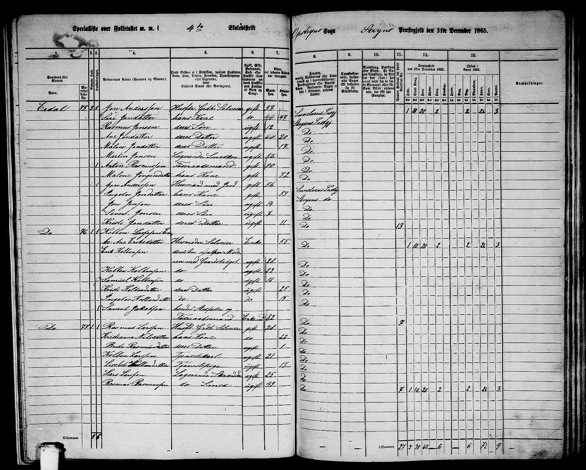 RA, 1865 census for Stryn, 1865, p. 20