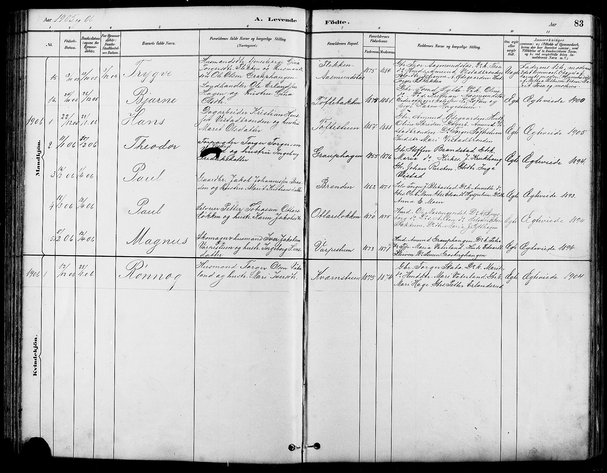 Nord-Fron prestekontor, SAH/PREST-080/H/Ha/Hab/L0005: Parish register (copy) no. 5, 1884-1914, p. 83