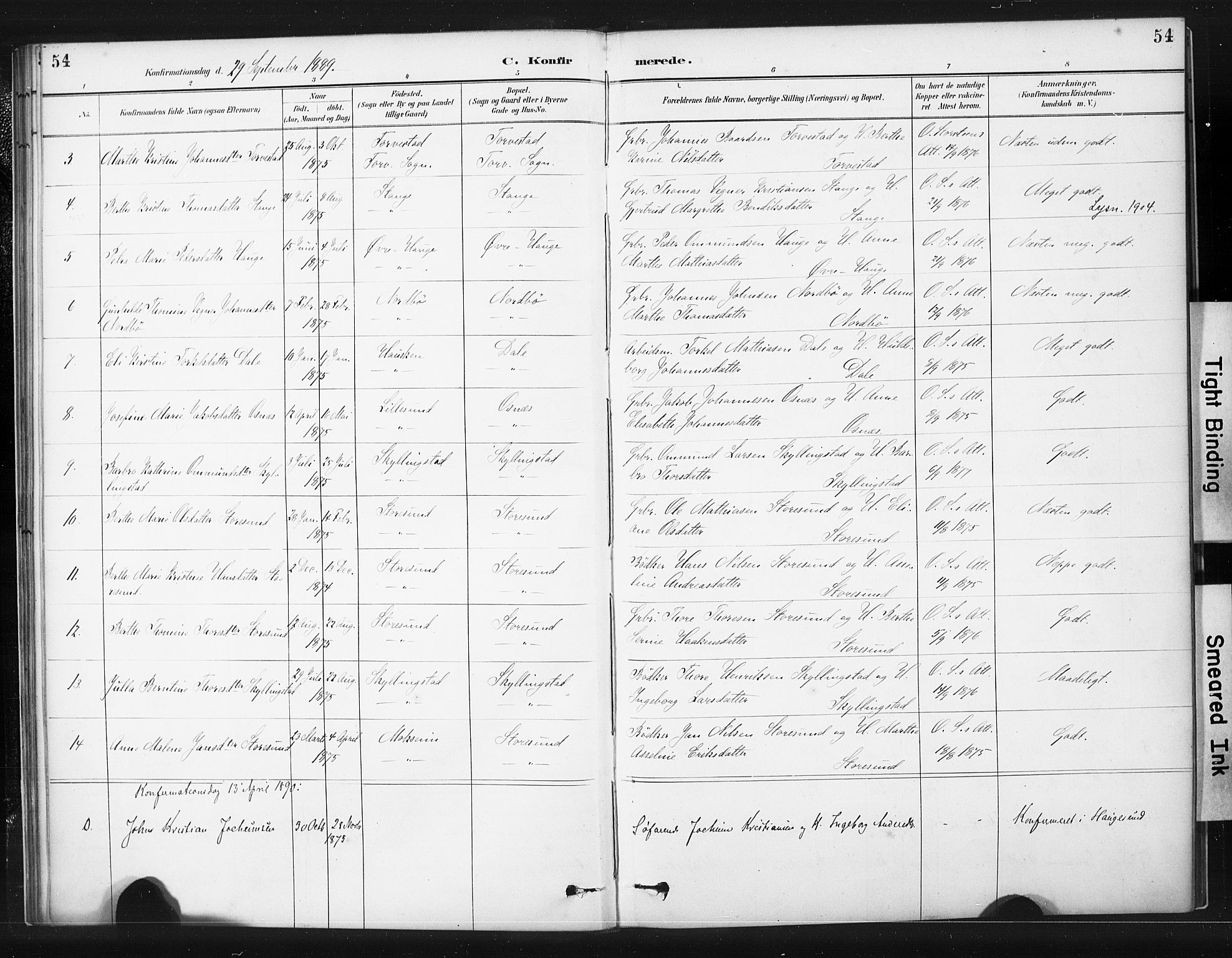 Torvastad sokneprestkontor, AV/SAST-A -101857/H/Ha/Haa/L0015: Parish register (official) no. A 14, 1888-1899, p. 54