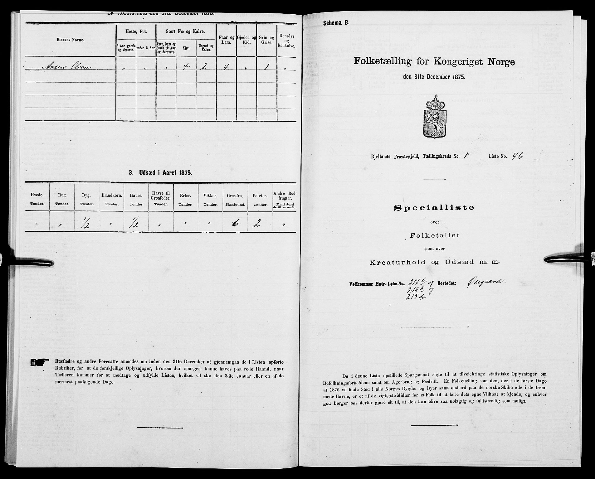 SAK, 1875 census for 1024P Bjelland, 1875, p. 125