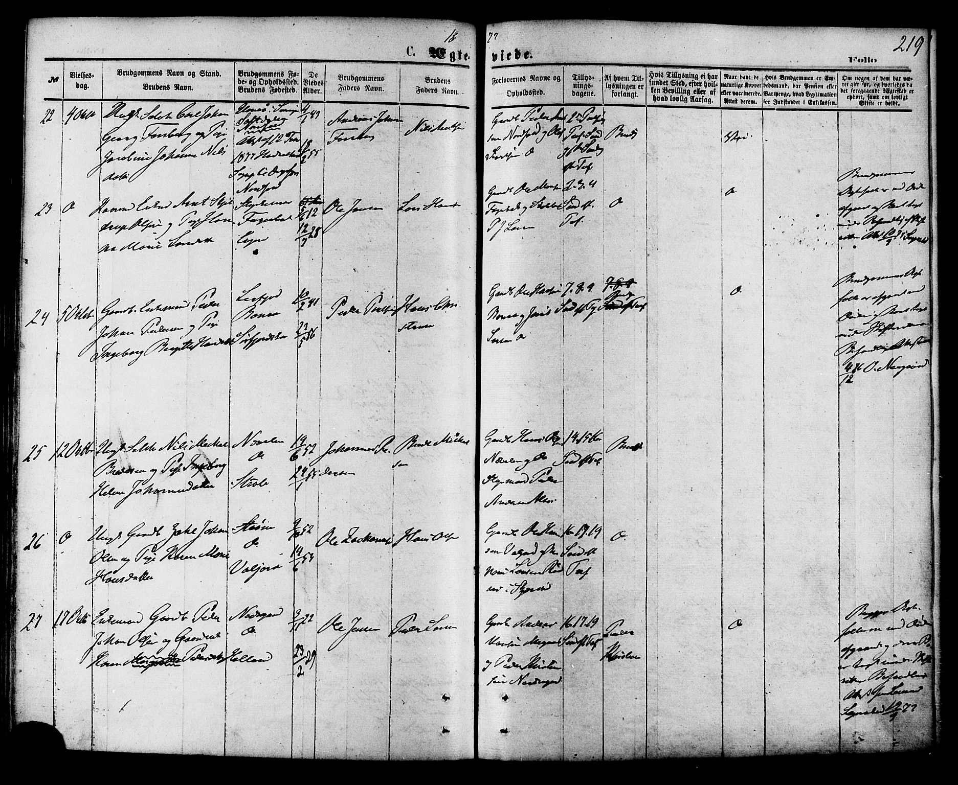 Ministerialprotokoller, klokkerbøker og fødselsregistre - Nordland, AV/SAT-A-1459/853/L0771: Parish register (official) no. 853A10, 1870-1881, p. 219