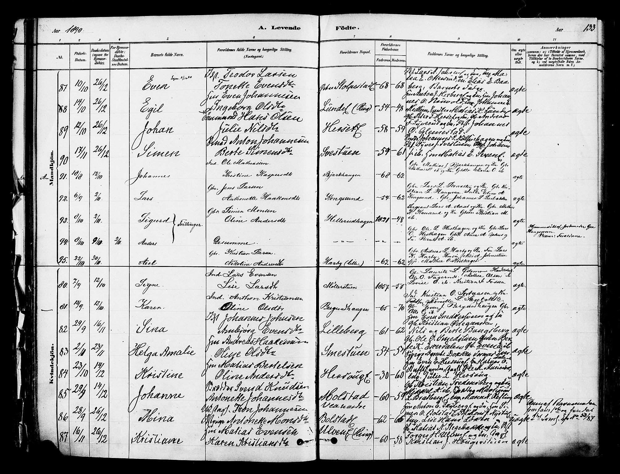Ringsaker prestekontor, AV/SAH-PREST-014/K/Ka/L0012: Parish register (official) no. 12, 1879-1890, p. 133
