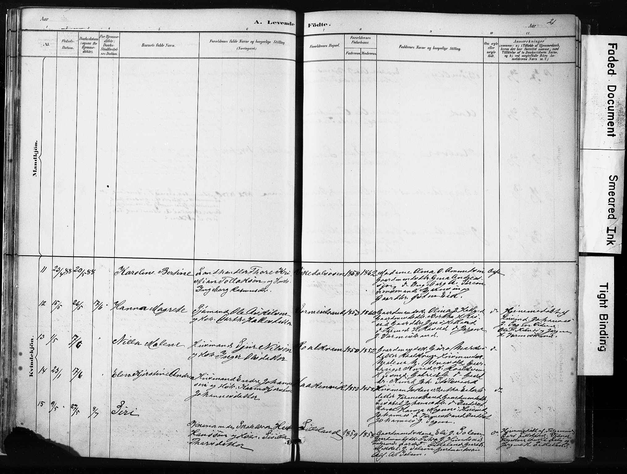 Vikedal sokneprestkontor, AV/SAST-A-101840/01/IV: Parish register (official) no. A 10, 1884-1907, p. 21