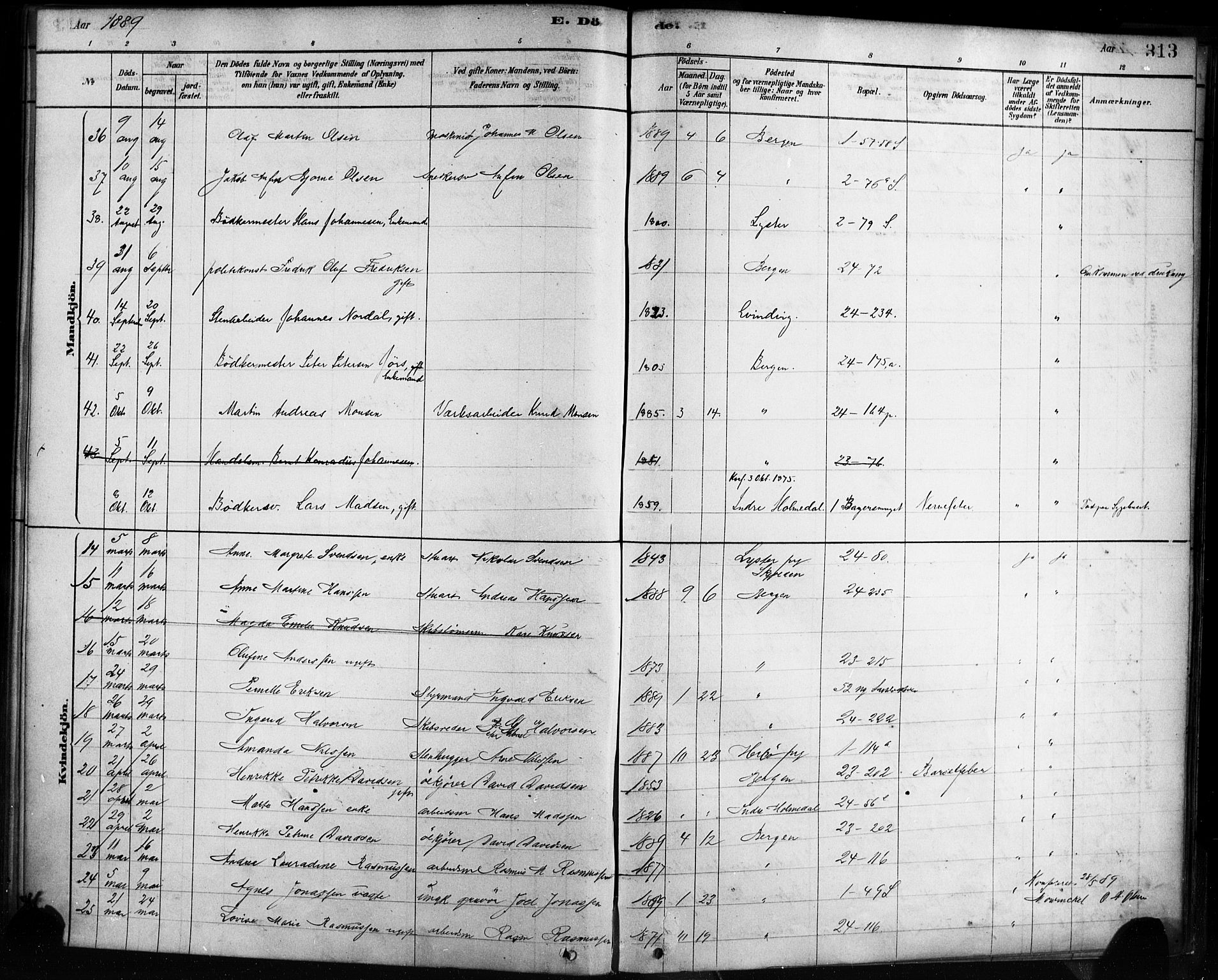 Sandviken Sokneprestembete, AV/SAB-A-77601/H/Ha/L0002: Parish register (official) no. A 2, 1878-1896, p. 313