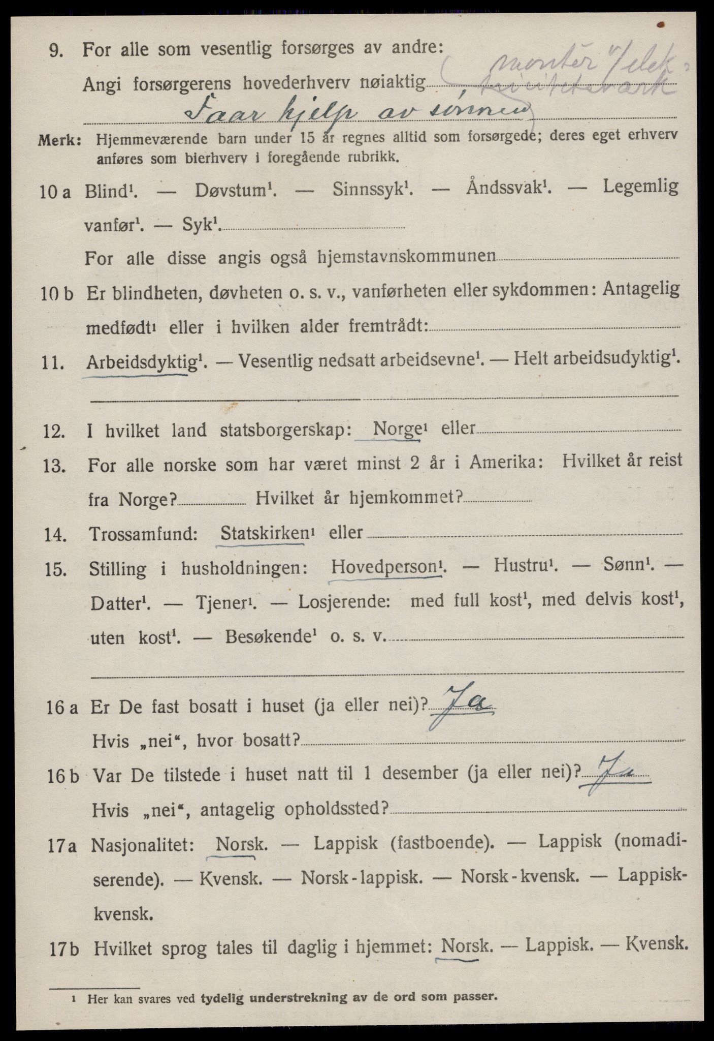 SAT, 1920 census for Strinda, 1920, p. 15813