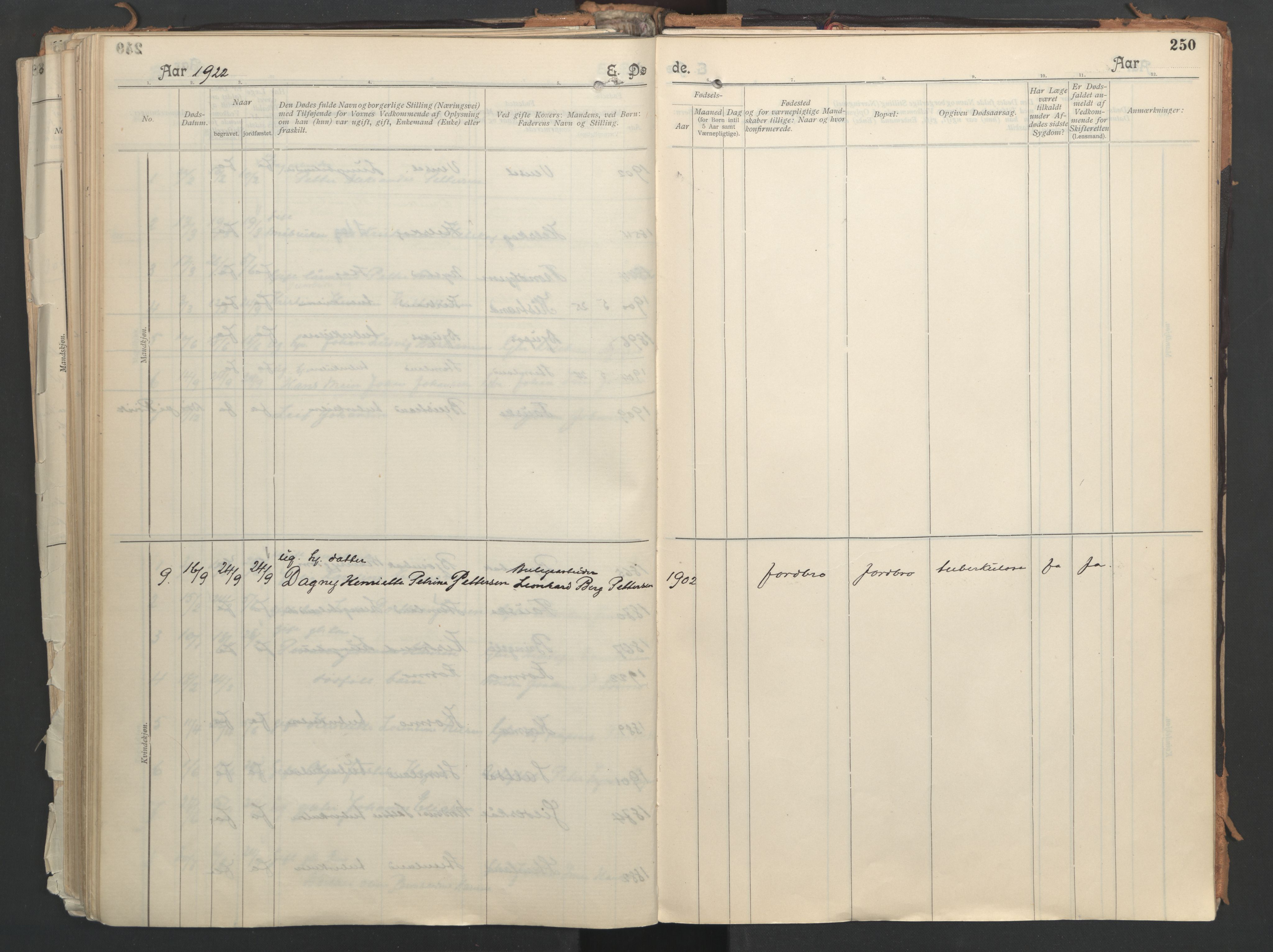 Ministerialprotokoller, klokkerbøker og fødselsregistre - Nordland, AV/SAT-A-1459/851/L0724: Parish register (official) no. 851A01, 1901-1922, p. 250