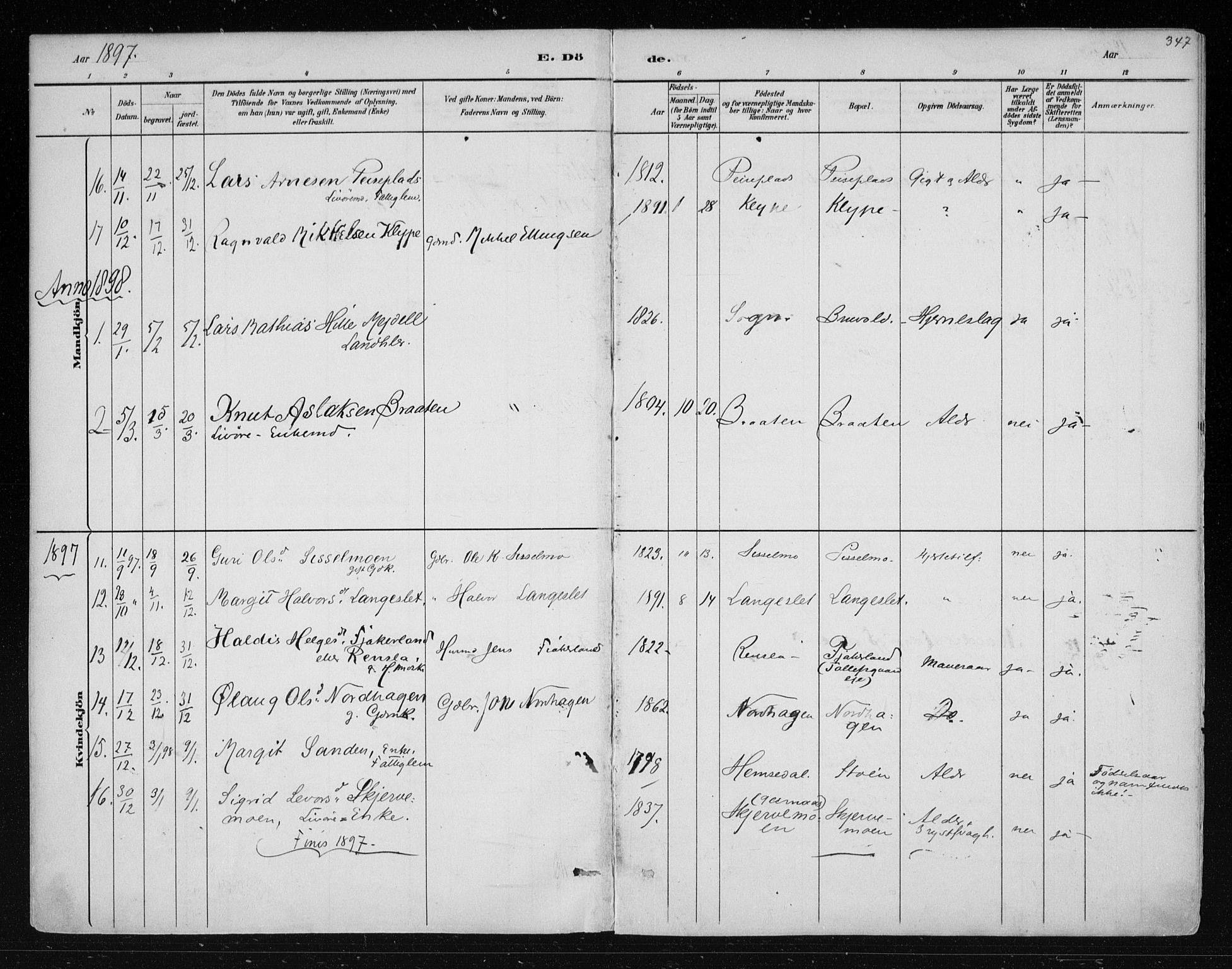 Nes kirkebøker, AV/SAKO-A-236/F/Fa/L0011: Parish register (official) no. 11, 1881-1912, p. 347