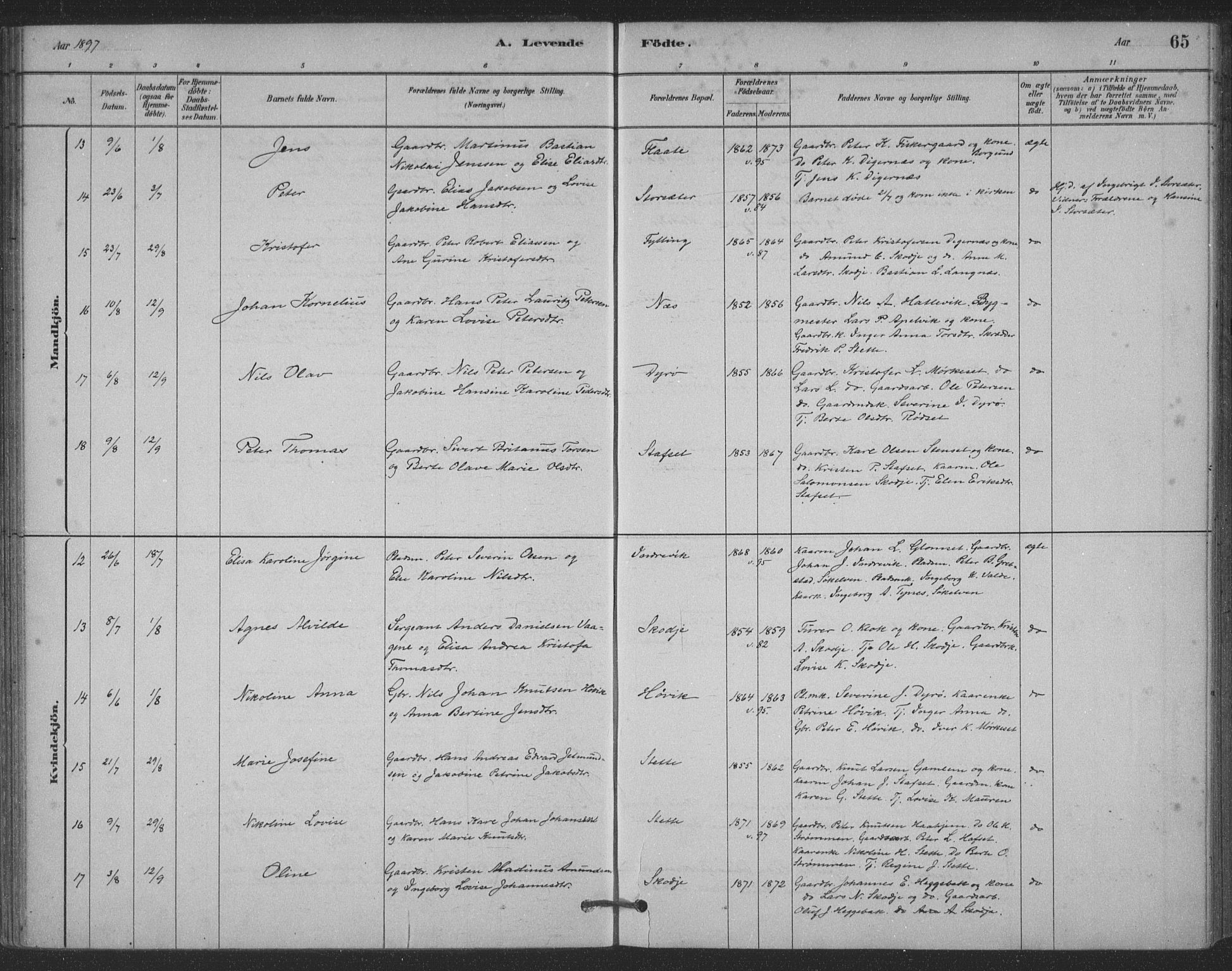 Ministerialprotokoller, klokkerbøker og fødselsregistre - Møre og Romsdal, AV/SAT-A-1454/524/L0356: Parish register (official) no. 524A08, 1880-1899, p. 65