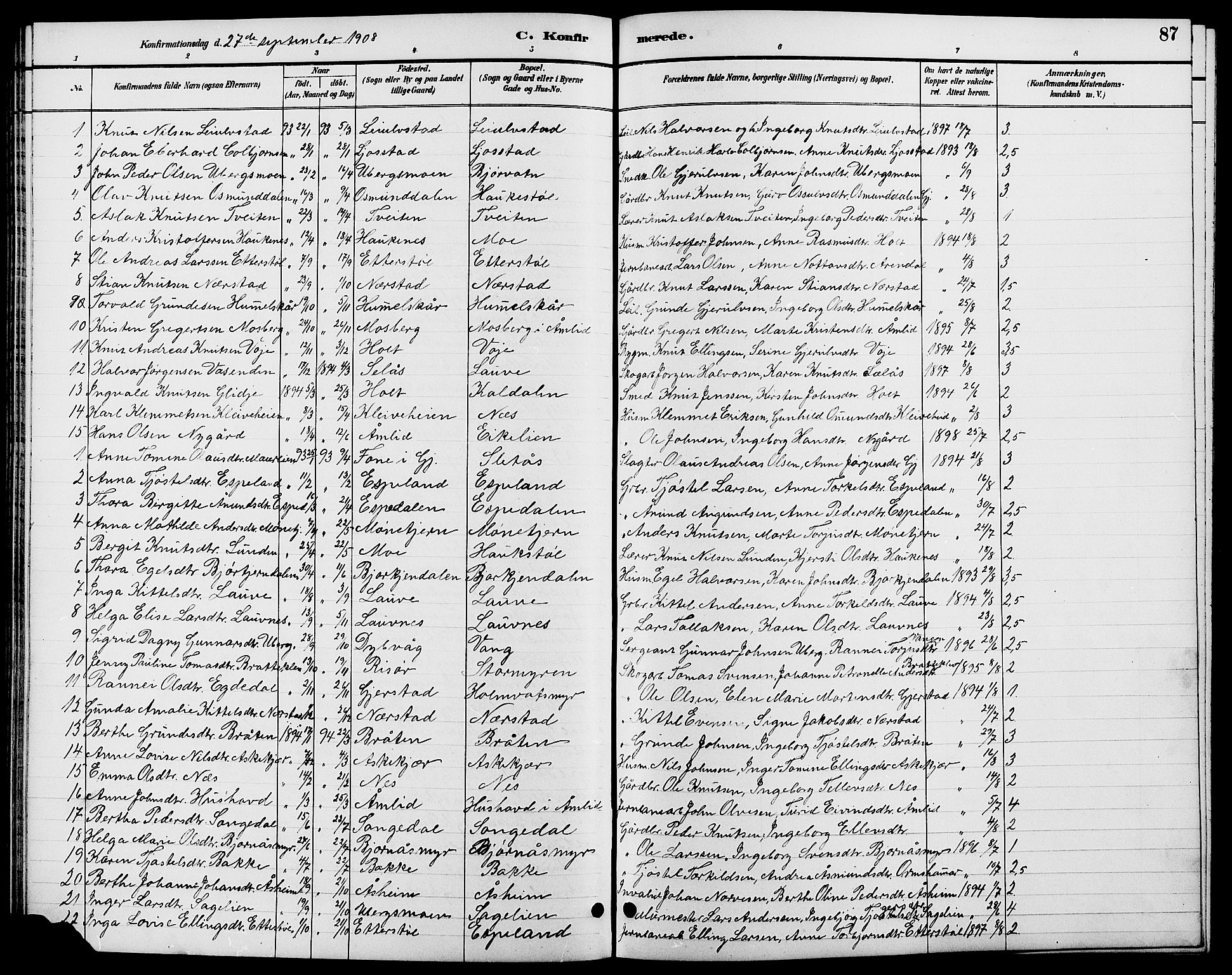 Gjerstad sokneprestkontor, SAK/1111-0014/F/Fb/Fbb/L0004: Parish register (copy) no. B 4, 1890-1910, p. 87