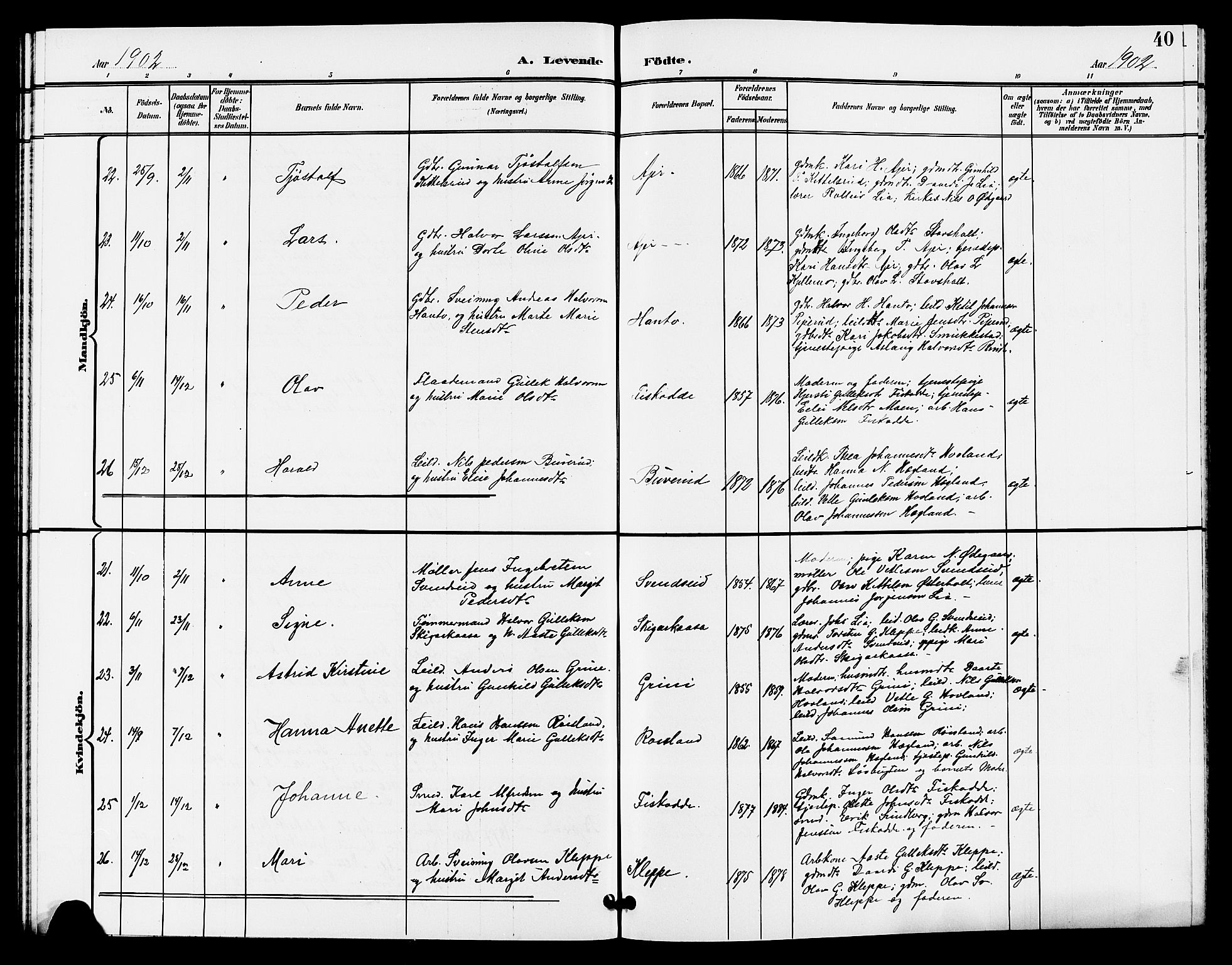 Lunde kirkebøker, SAKO/A-282/G/Ga/L0003: Parish register (copy) no. I 3, 1896-1905, p. 40