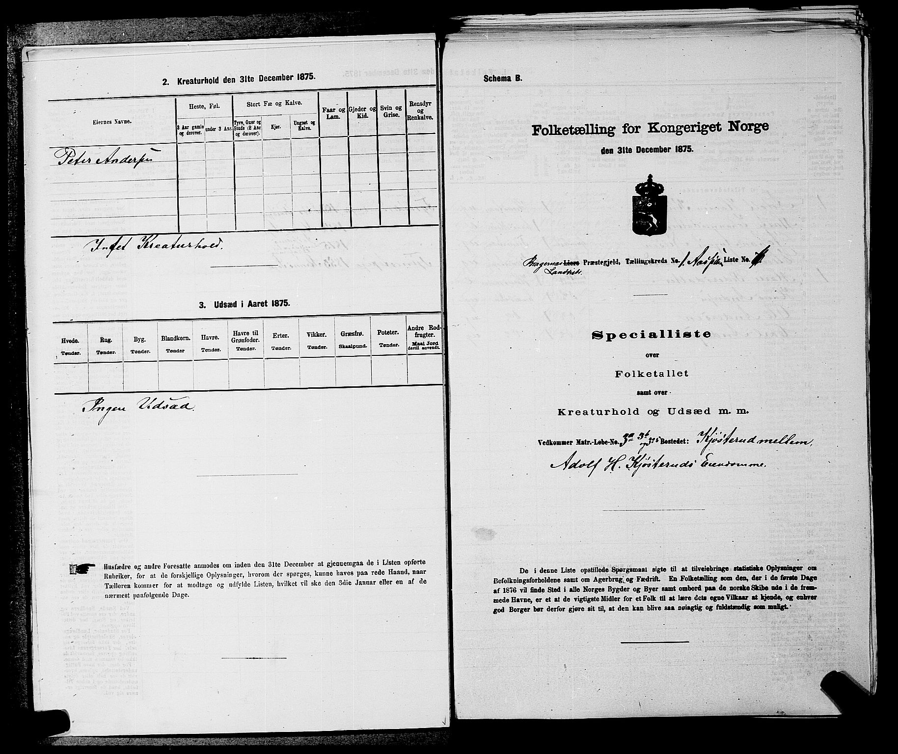 SAKO, 1875 census for 0626P Lier, 1875, p. 89