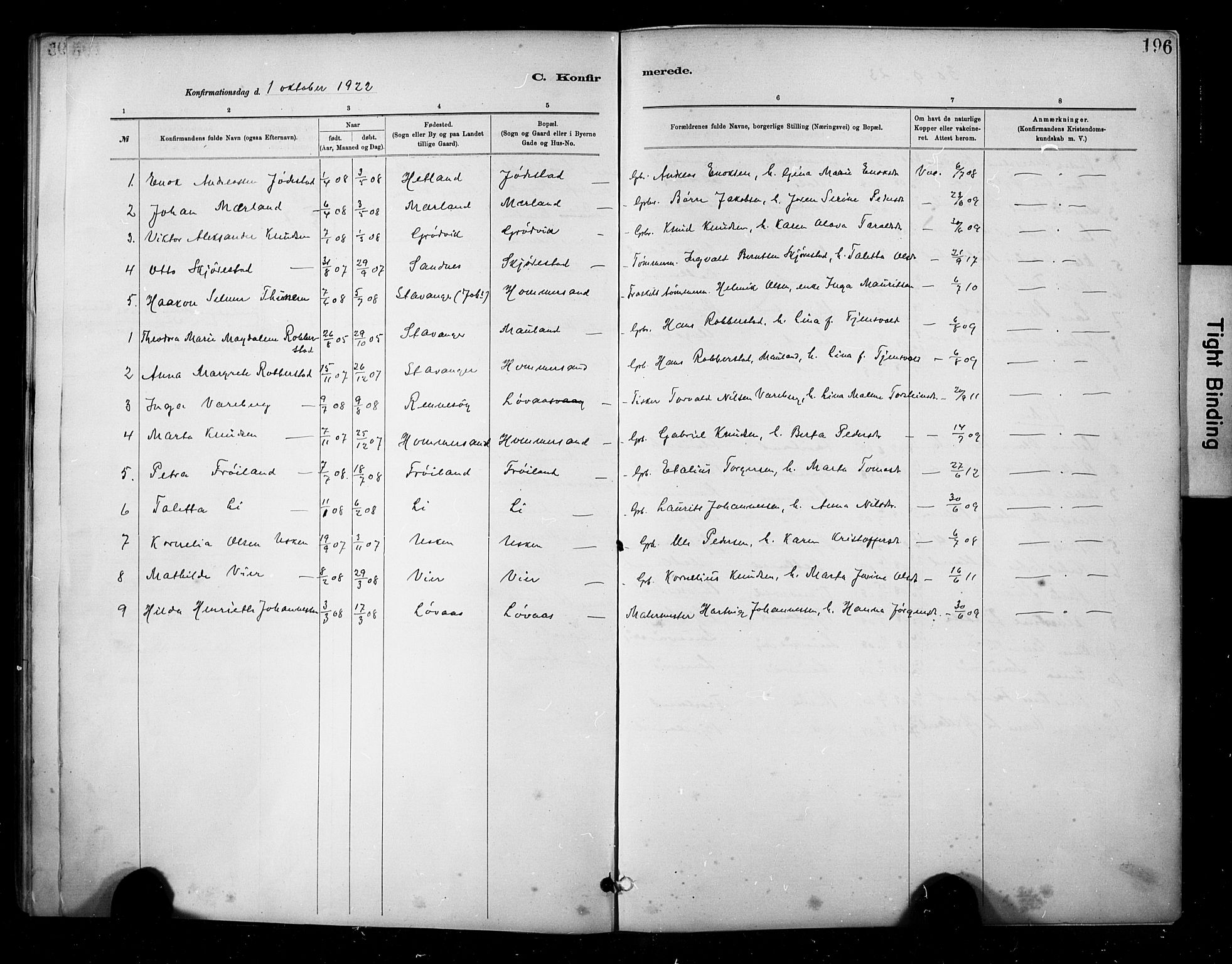 Hetland sokneprestkontor, AV/SAST-A-101826/30/30BA/L0010: Parish register (official) no. A 10, 1882-1925, p. 196