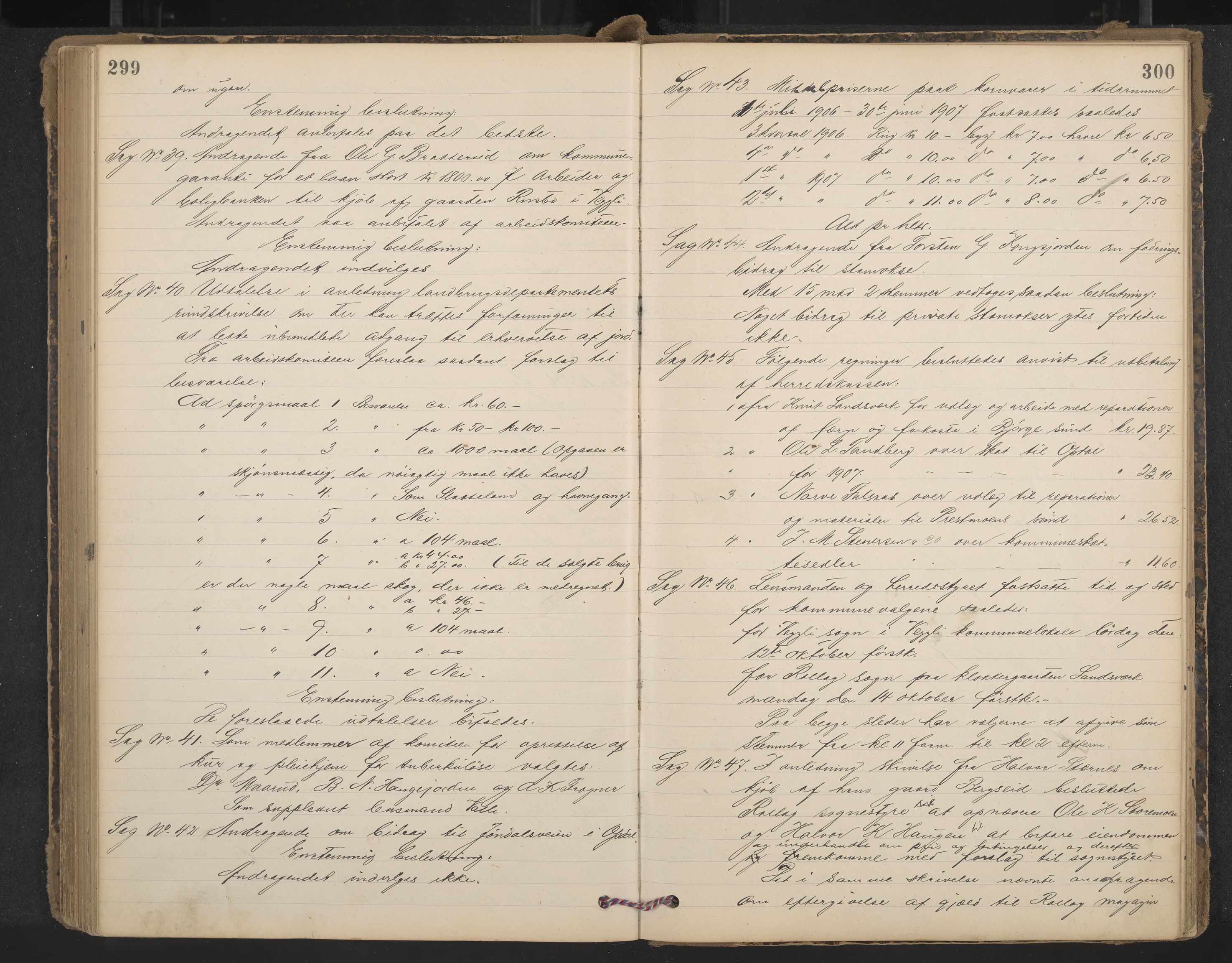 Rollag formannskap og sentraladministrasjon, IKAK/0632021-2/A/Aa/L0004: Møtebok, 1897-1909, p. 299-300