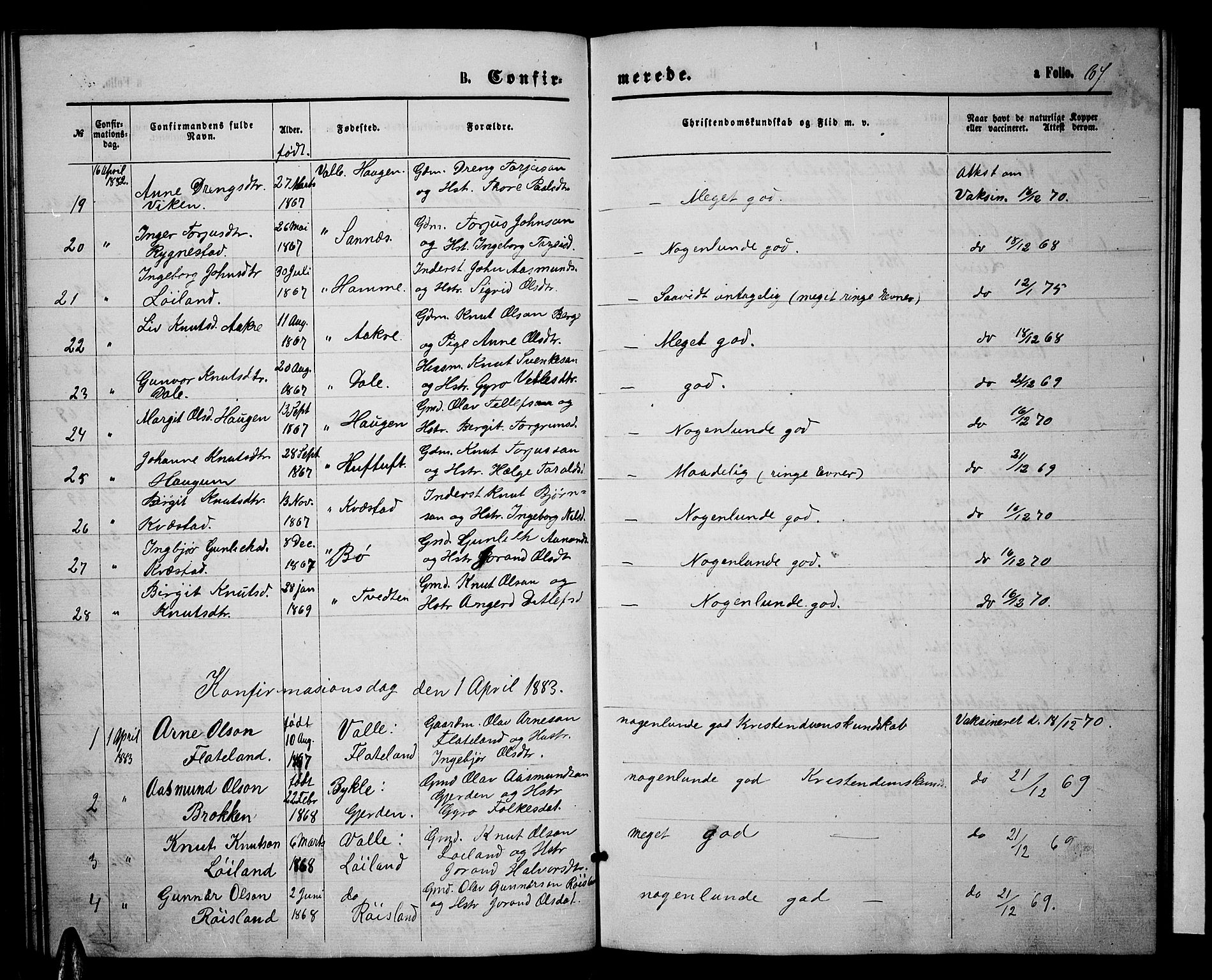 Valle sokneprestkontor, SAK/1111-0044/F/Fb/Fbc/L0003: Parish register (copy) no. B 3, 1871-1890, p. 67