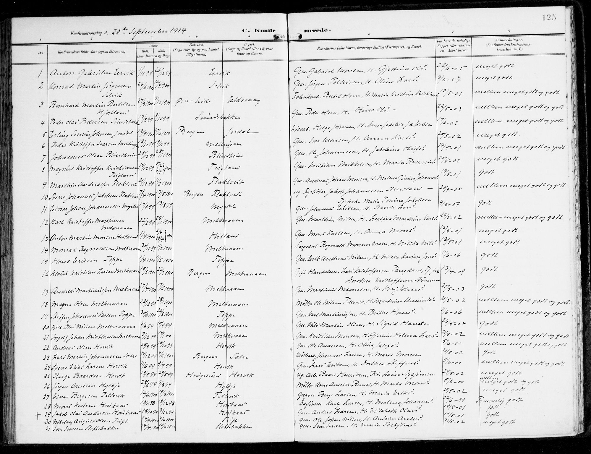 Hamre sokneprestembete, SAB/A-75501/H/Ha/Haa/Haad/L0002: Parish register (official) no. D 2, 1899-1916, p. 125