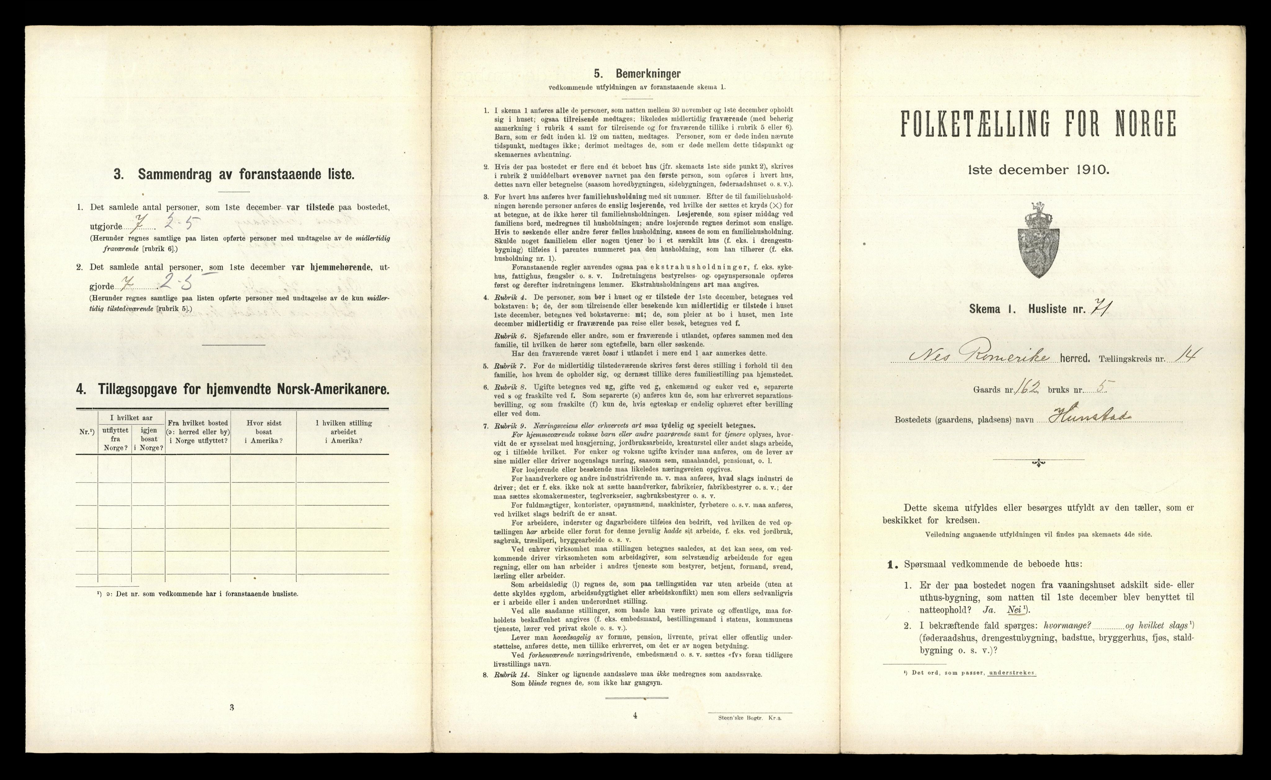 RA, 1910 census for Nes, 1910, p. 2016