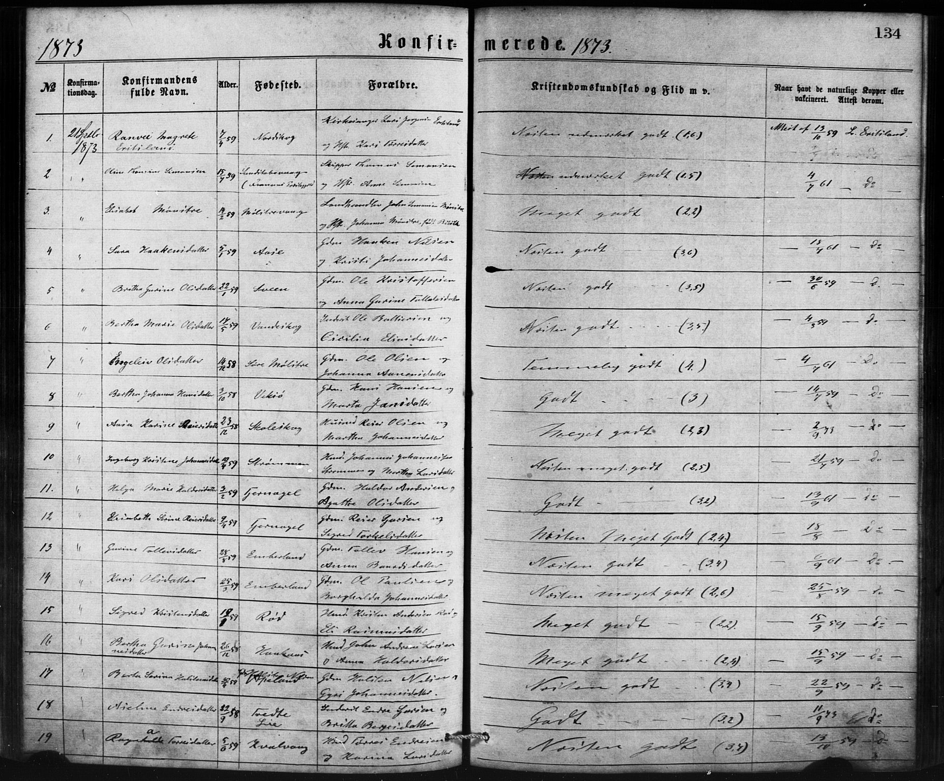 Sveio Sokneprestembete, SAB/A-78501/H/Haa: Parish register (official) no. B 1, 1870-1883, p. 134