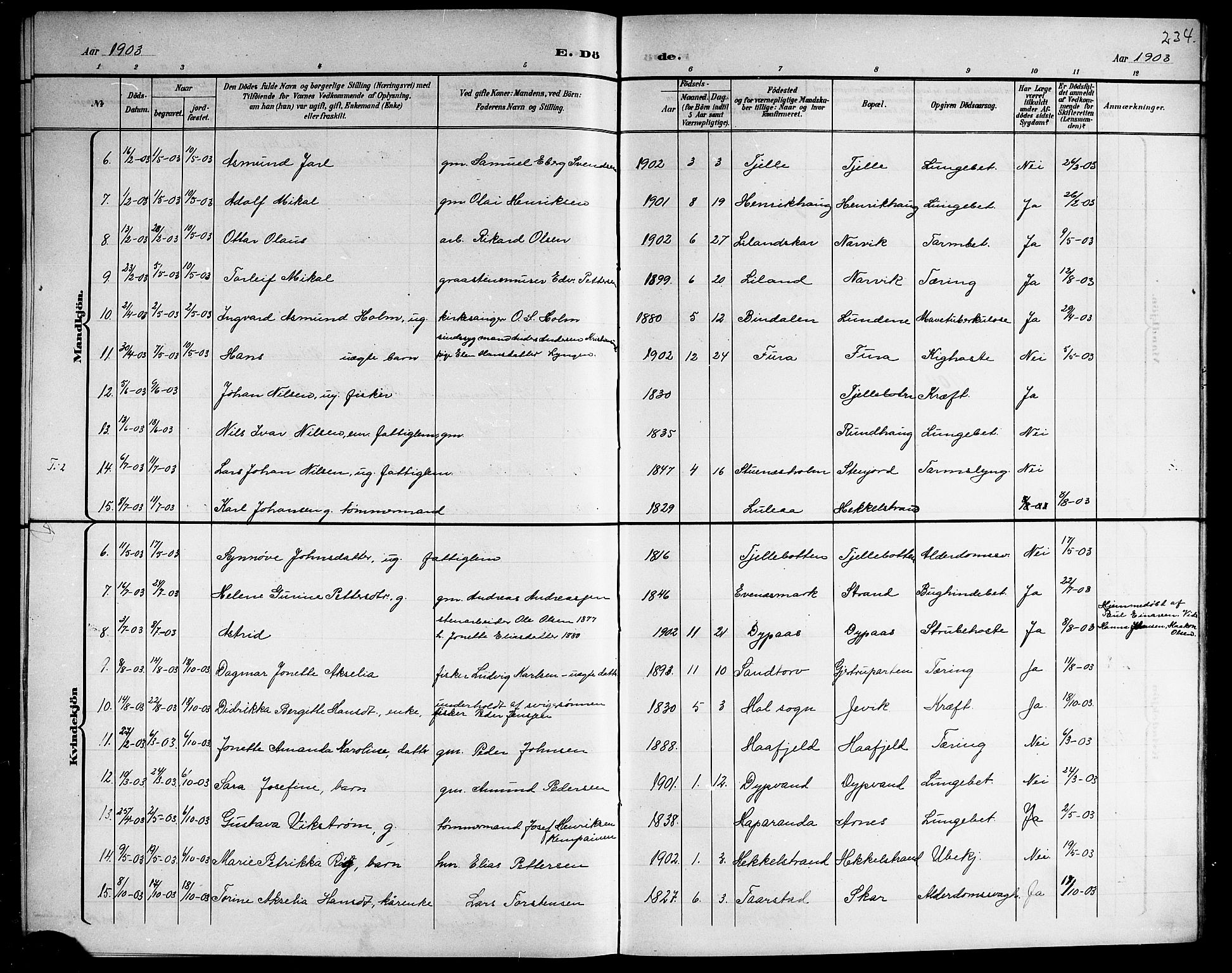 Ministerialprotokoller, klokkerbøker og fødselsregistre - Nordland, AV/SAT-A-1459/863/L0915: Parish register (copy) no. 863C05, 1898-1907, p. 234