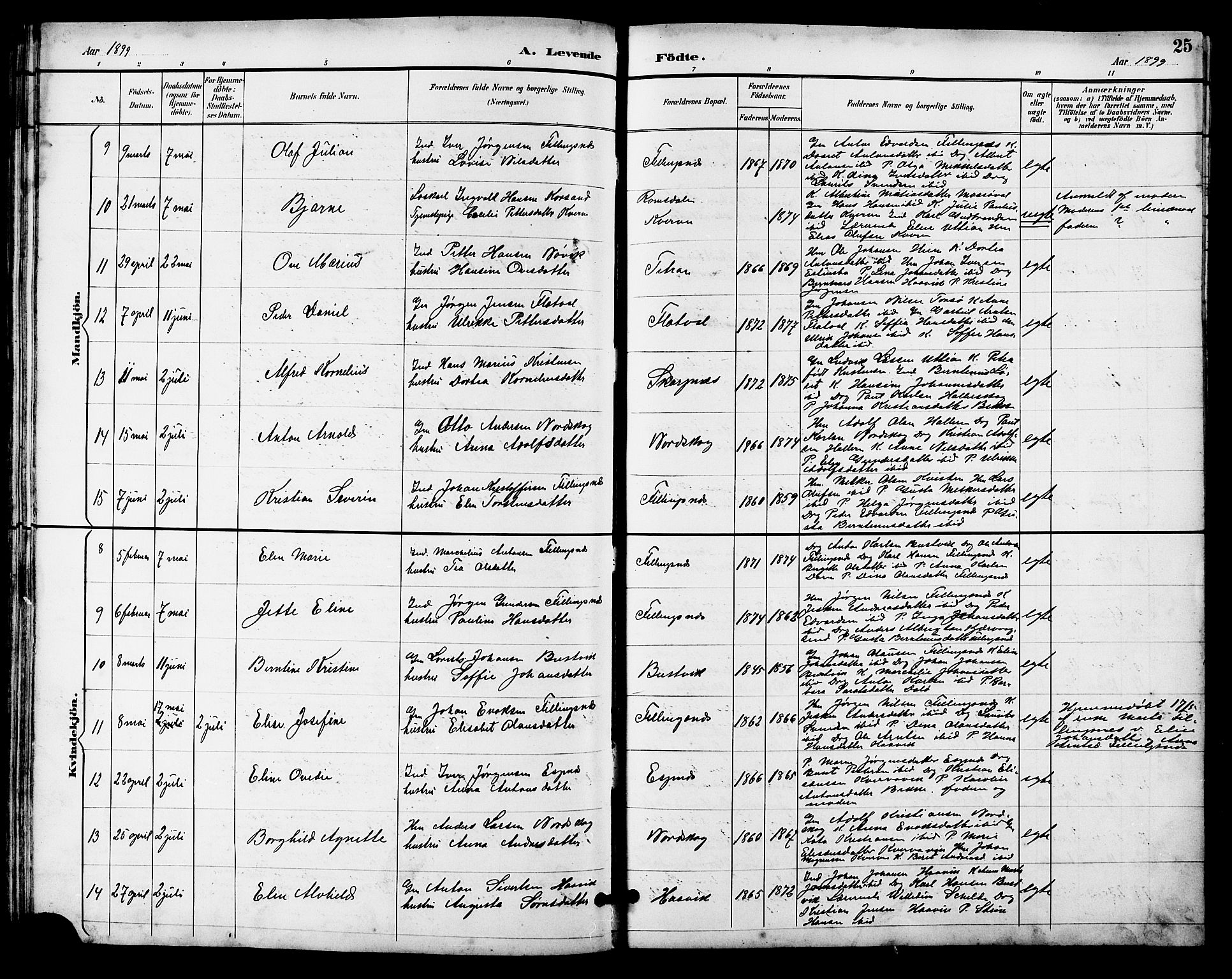 Ministerialprotokoller, klokkerbøker og fødselsregistre - Sør-Trøndelag, AV/SAT-A-1456/641/L0598: Parish register (copy) no. 641C02, 1893-1910, p. 25