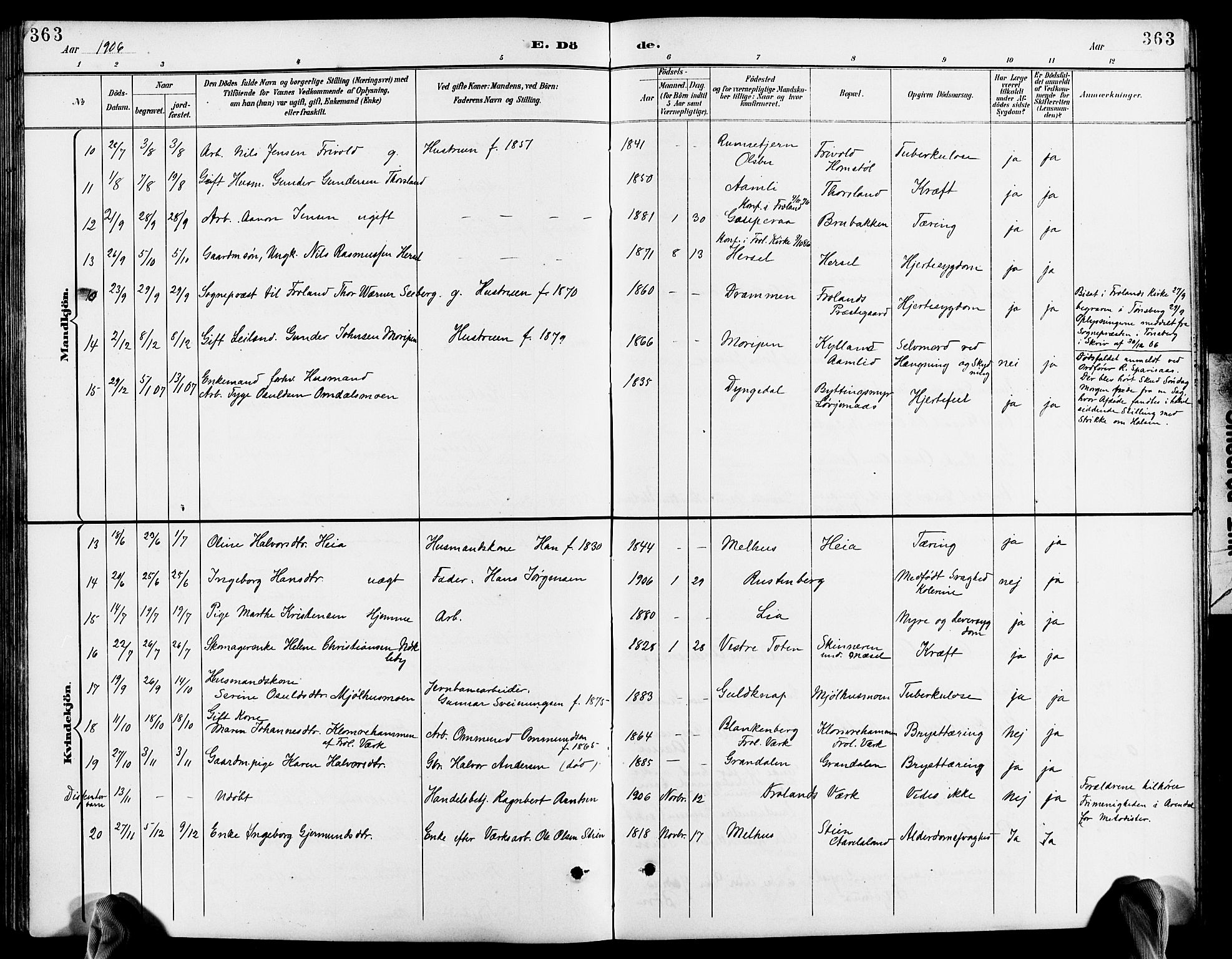 Froland sokneprestkontor, SAK/1111-0013/F/Fb/L0010: Parish register (copy) no. B 10, 1893-1920, p. 363