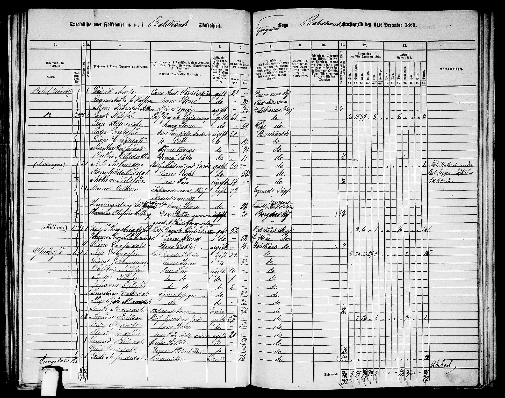 RA, 1865 census for Balestrand, 1865, p. 20