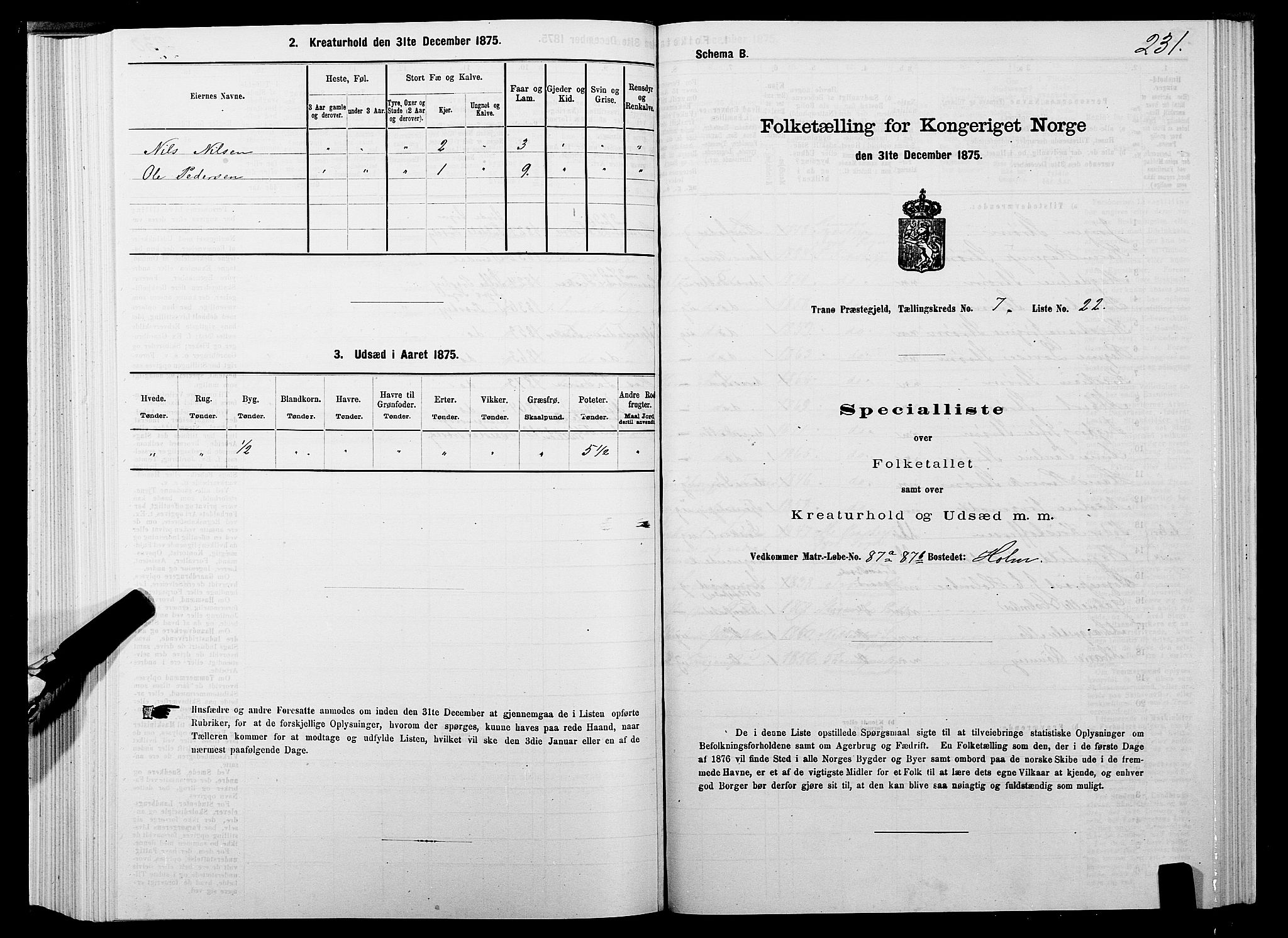 SATØ, 1875 census for 1927P Tranøy, 1875, p. 3231