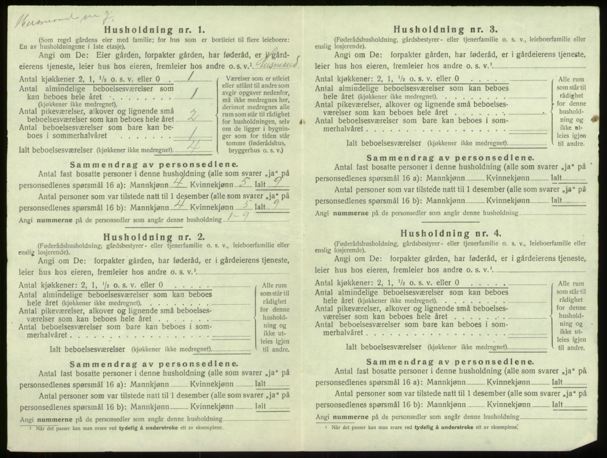 SAB, 1920 census for Årdal, 1920, p. 395