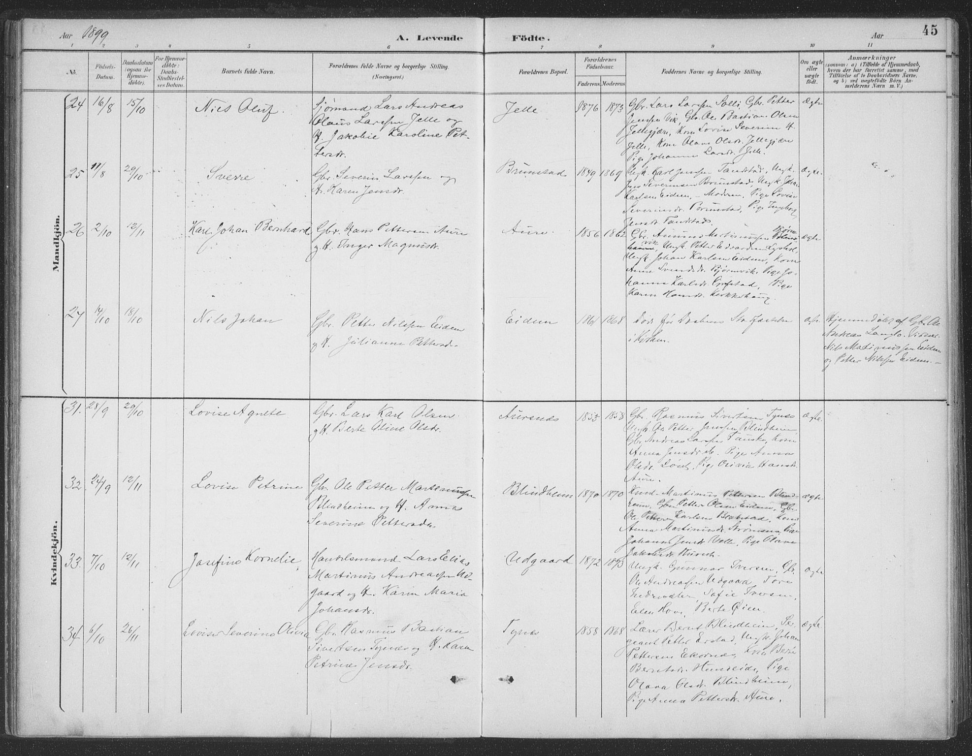 Ministerialprotokoller, klokkerbøker og fødselsregistre - Møre og Romsdal, AV/SAT-A-1454/523/L0335: Parish register (official) no. 523A02, 1891-1911, p. 45