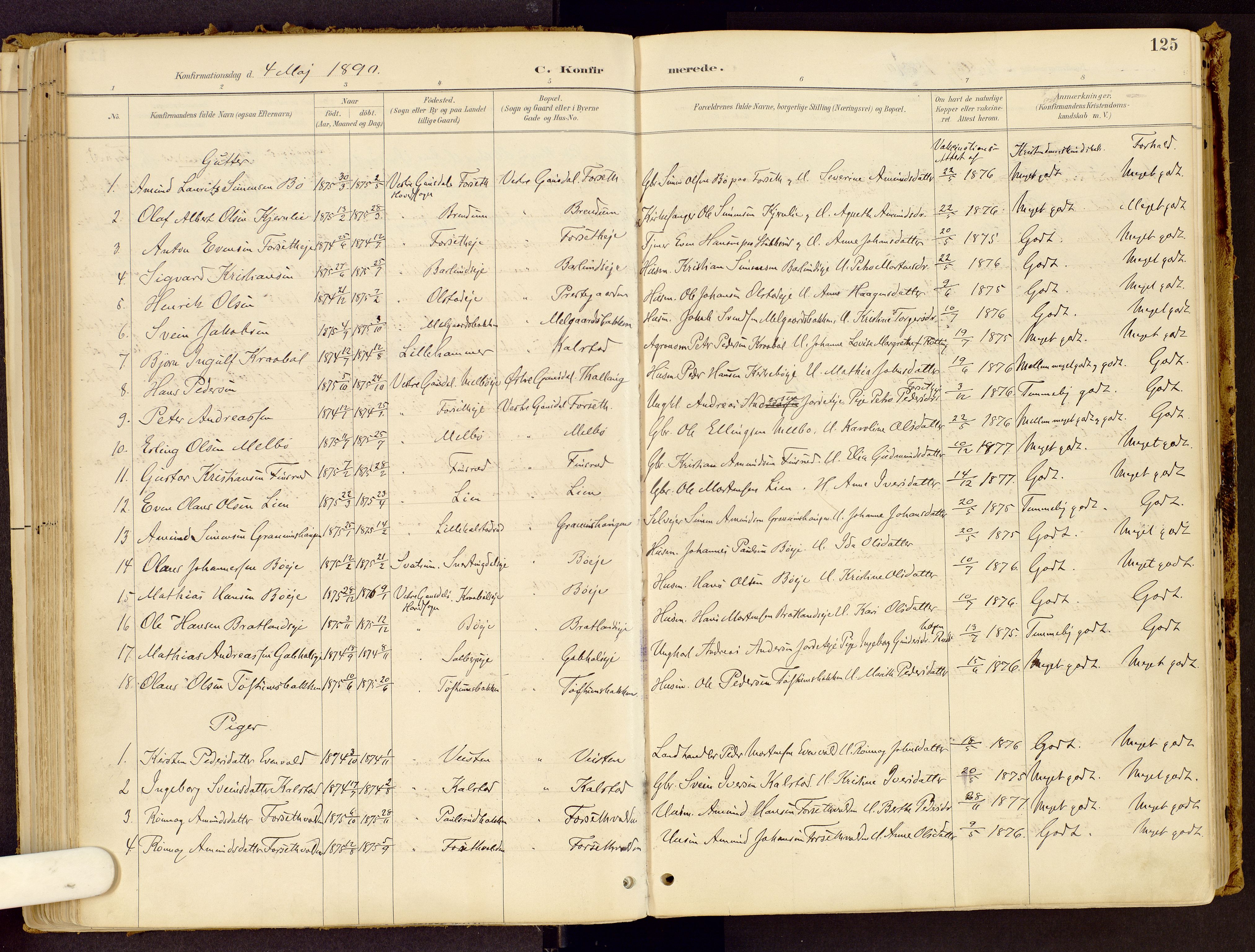 Vestre Gausdal prestekontor, SAH/PREST-094/H/Ha/Haa/L0001: Parish register (official) no. 1, 1887-1914, p. 125