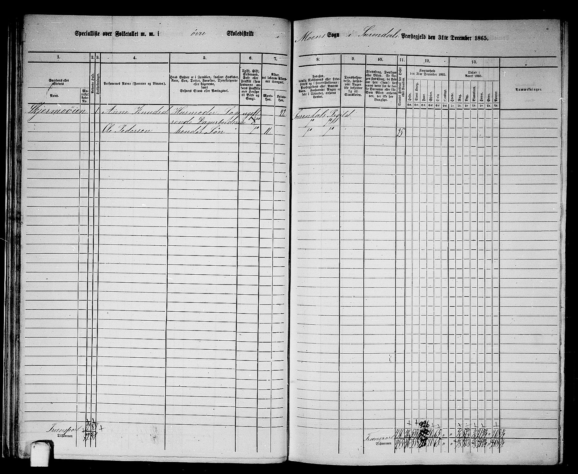 RA, 1865 census for Surnadal, 1865, p. 31