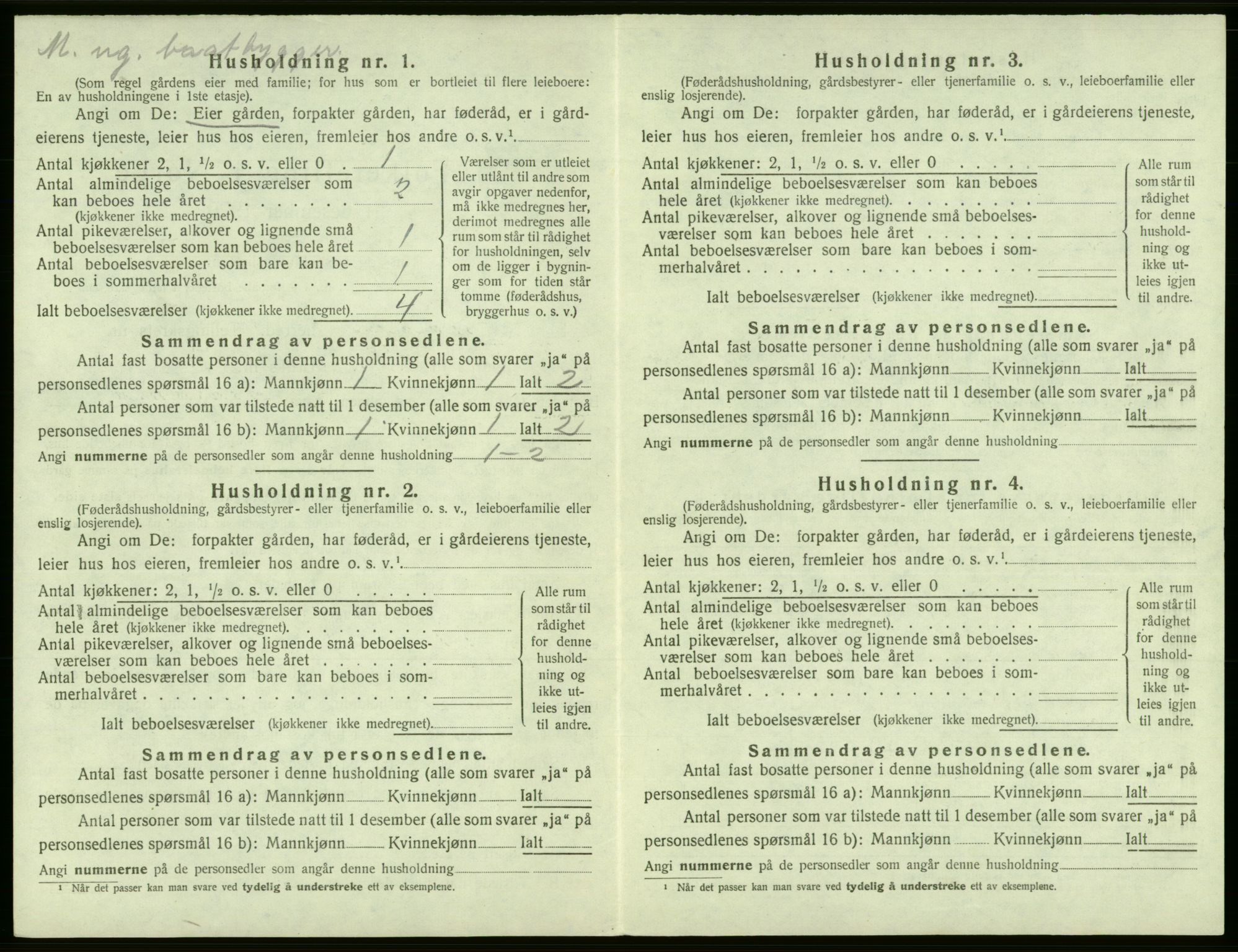 SAB, 1920 census for Jondal, 1920, p. 207