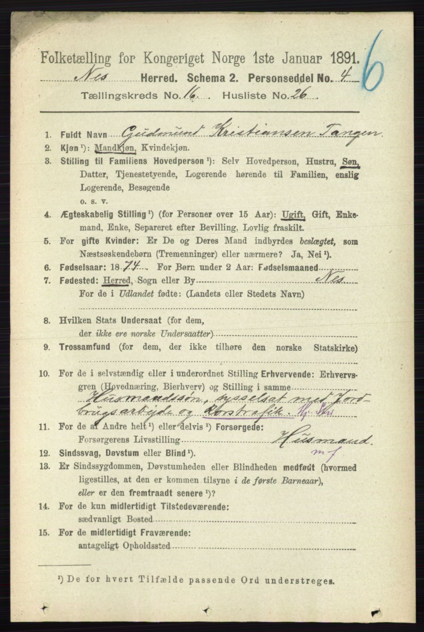 RA, 1891 census for 0236 Nes, 1891, p. 9707
