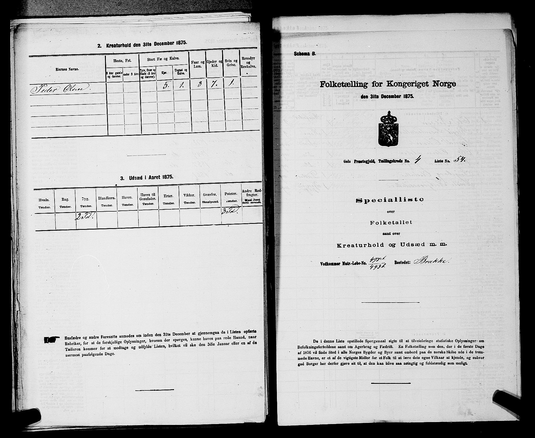 SAKO, 1875 census for 0617P Gol, 1875, p. 713