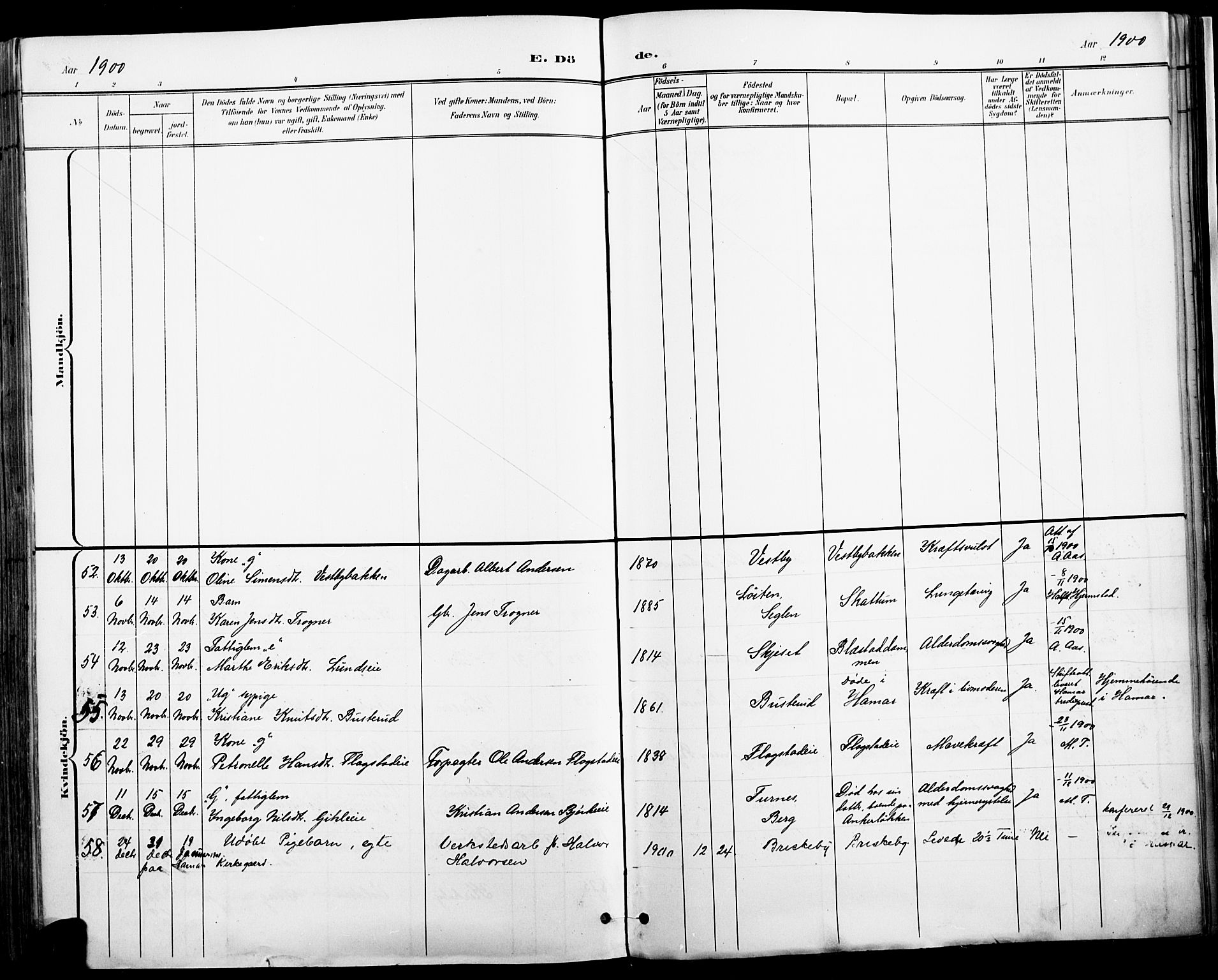 Vang prestekontor, Hedmark, AV/SAH-PREST-008/H/Ha/Haa/L0019A: Parish register (official) no. 19, 1886-1900