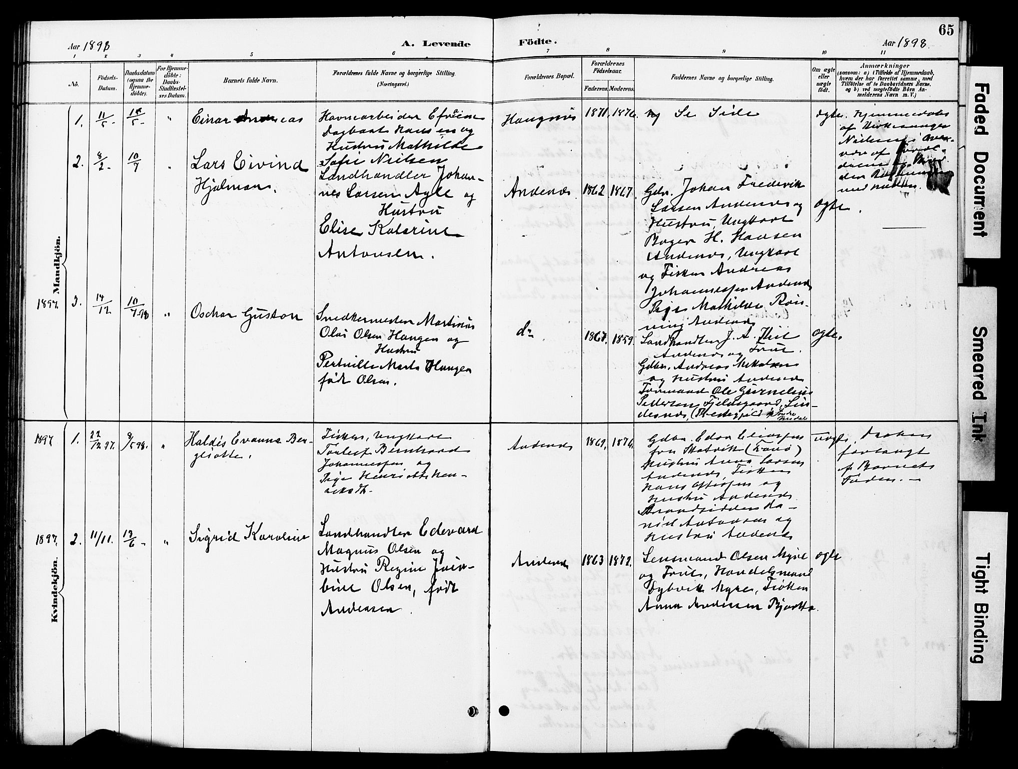 Ministerialprotokoller, klokkerbøker og fødselsregistre - Nordland, AV/SAT-A-1459/899/L1448: Parish register (copy) no. 899C03, 1887-1902, p. 65