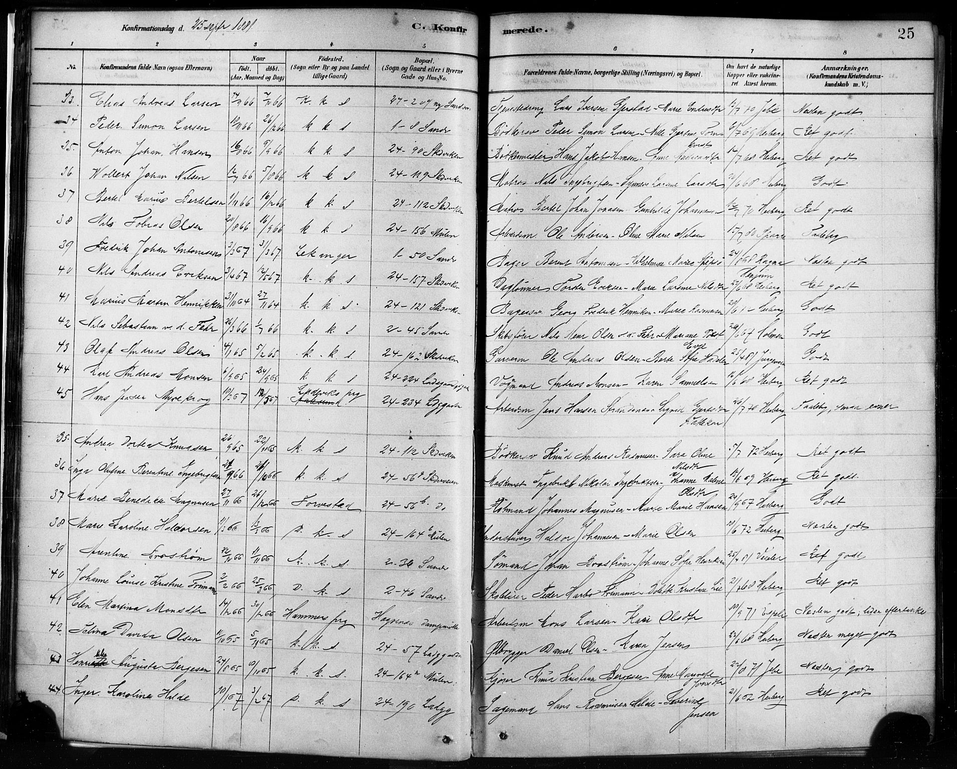 Sandviken Sokneprestembete, AV/SAB-A-77601/H/Ha/L0002: Parish register (official) no. A 2, 1878-1896, p. 25