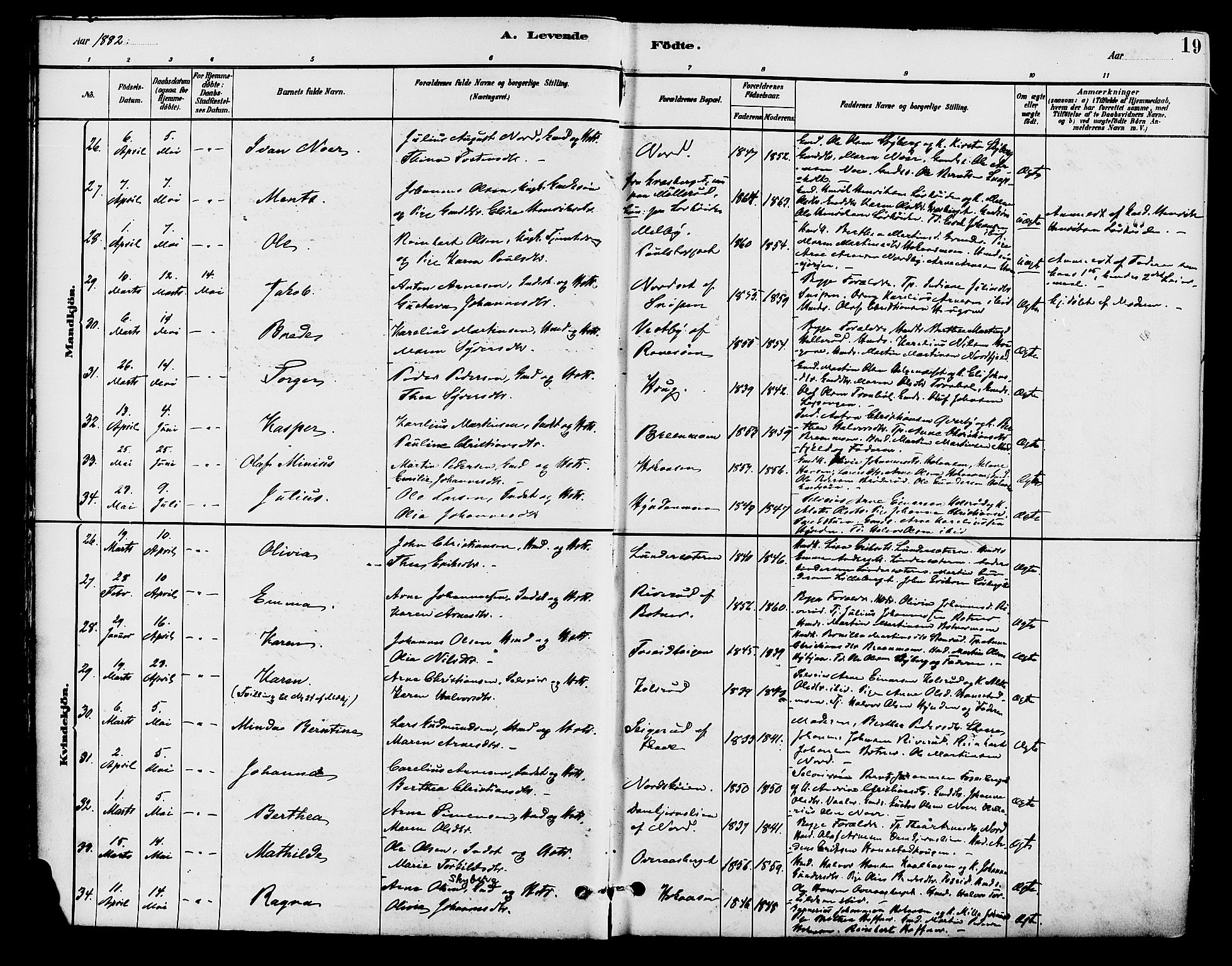 Brandval prestekontor, AV/SAH-PREST-034/H/Ha/Haa/L0002: Parish register (official) no. 2, 1880-1894, p. 19
