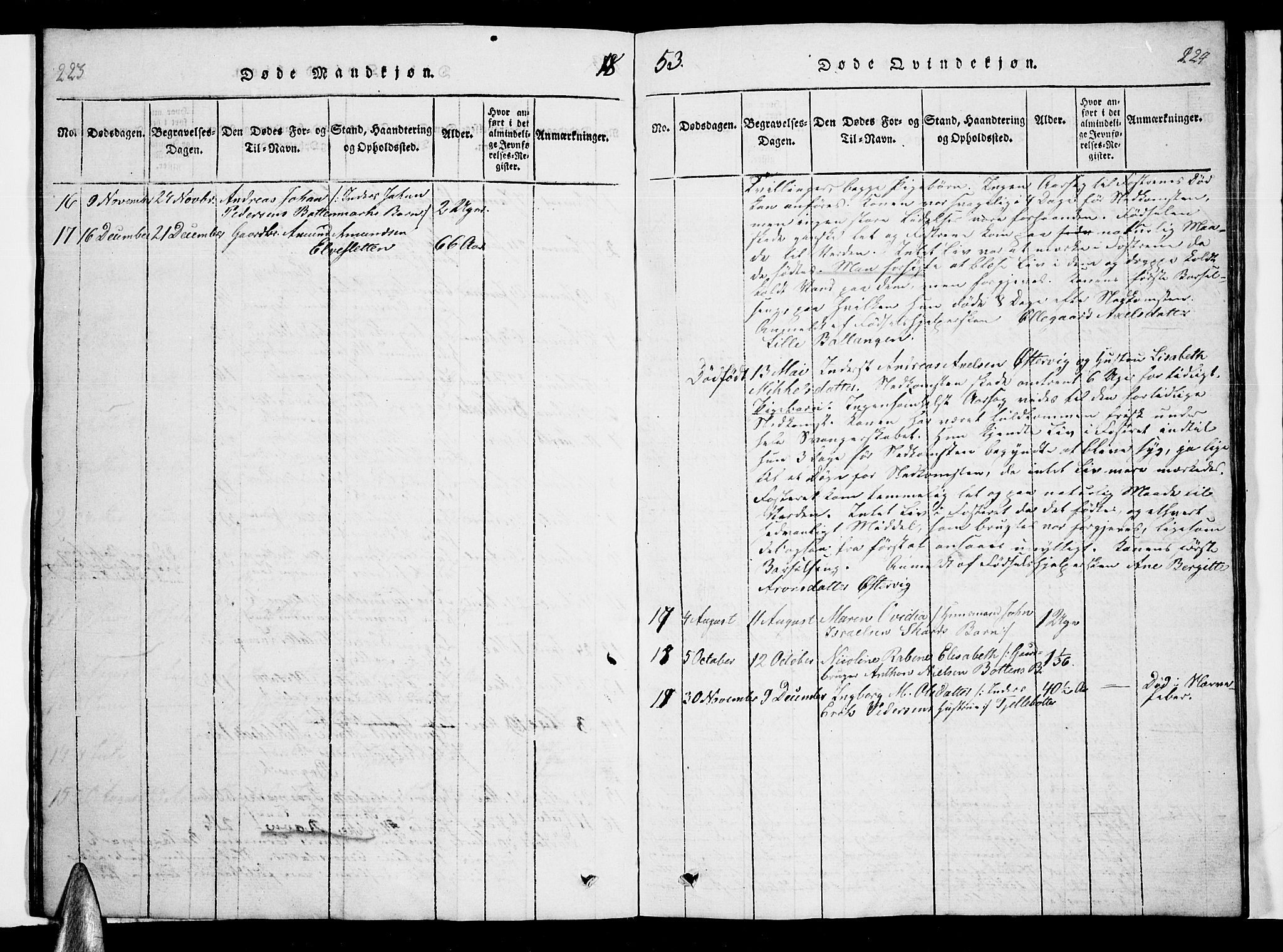 Ministerialprotokoller, klokkerbøker og fødselsregistre - Nordland, AV/SAT-A-1459/863/L0911: Parish register (copy) no. 863C01, 1821-1858, p. 223-224