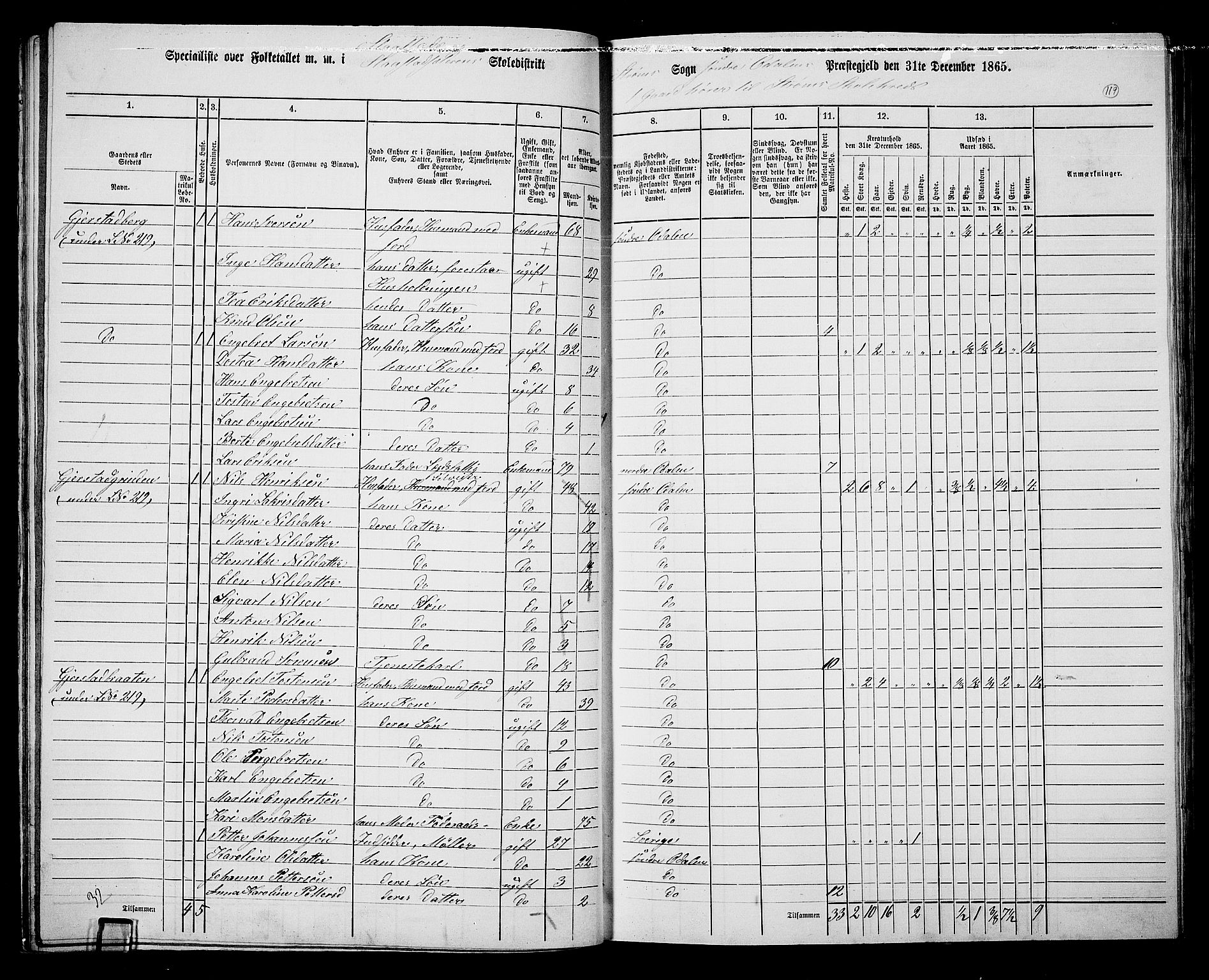 RA, 1865 census for Sør-Odal, 1865, p. 109