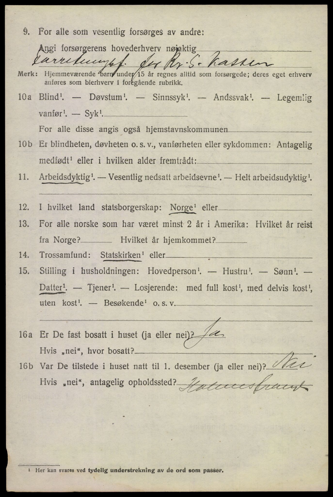 SAKO, 1920 census for Våle, 1920, p. 3149