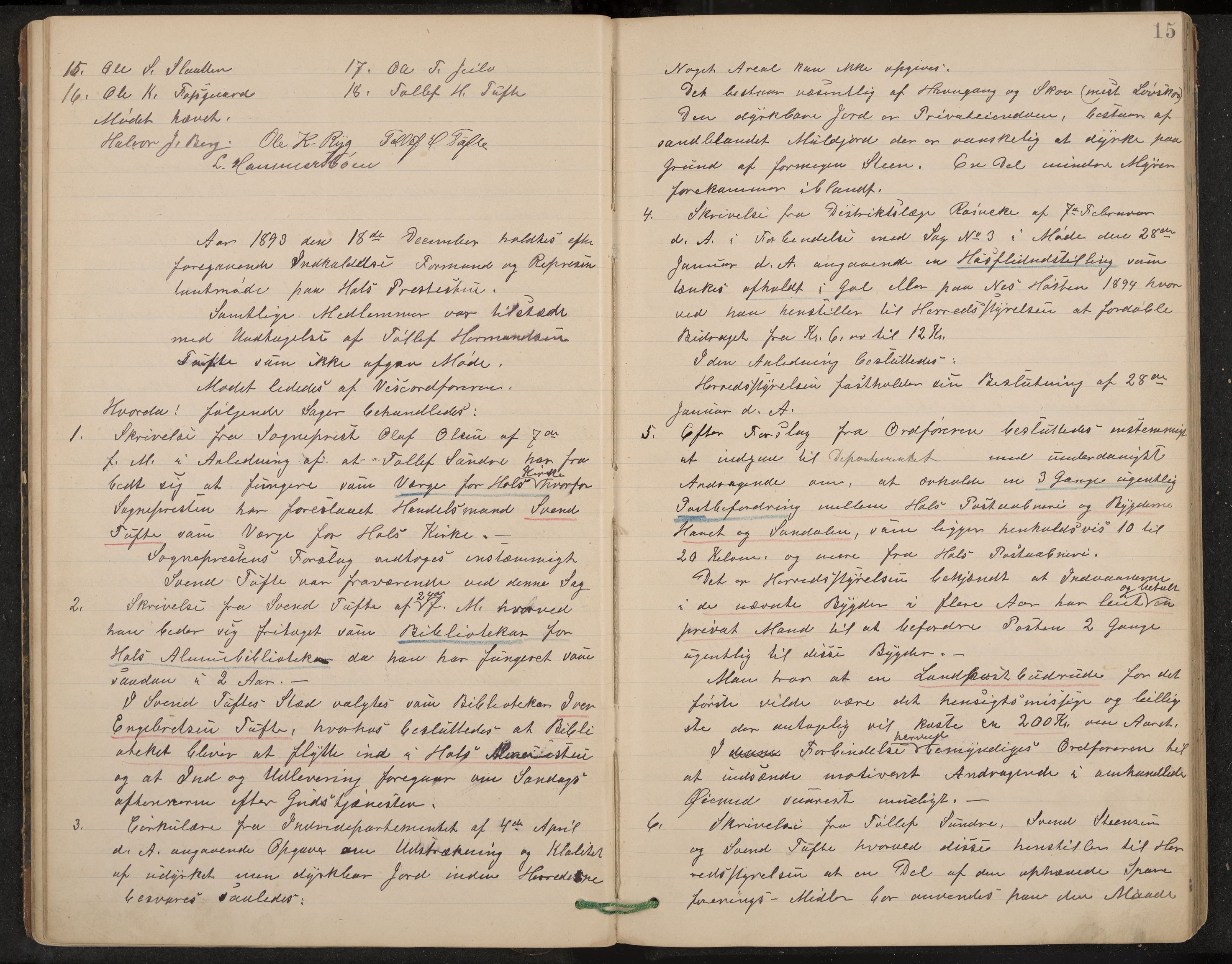 Hol formannskap og sentraladministrasjon, IKAK/0620021-1/A/L0002: Møtebok, 1893-1897, p. 15