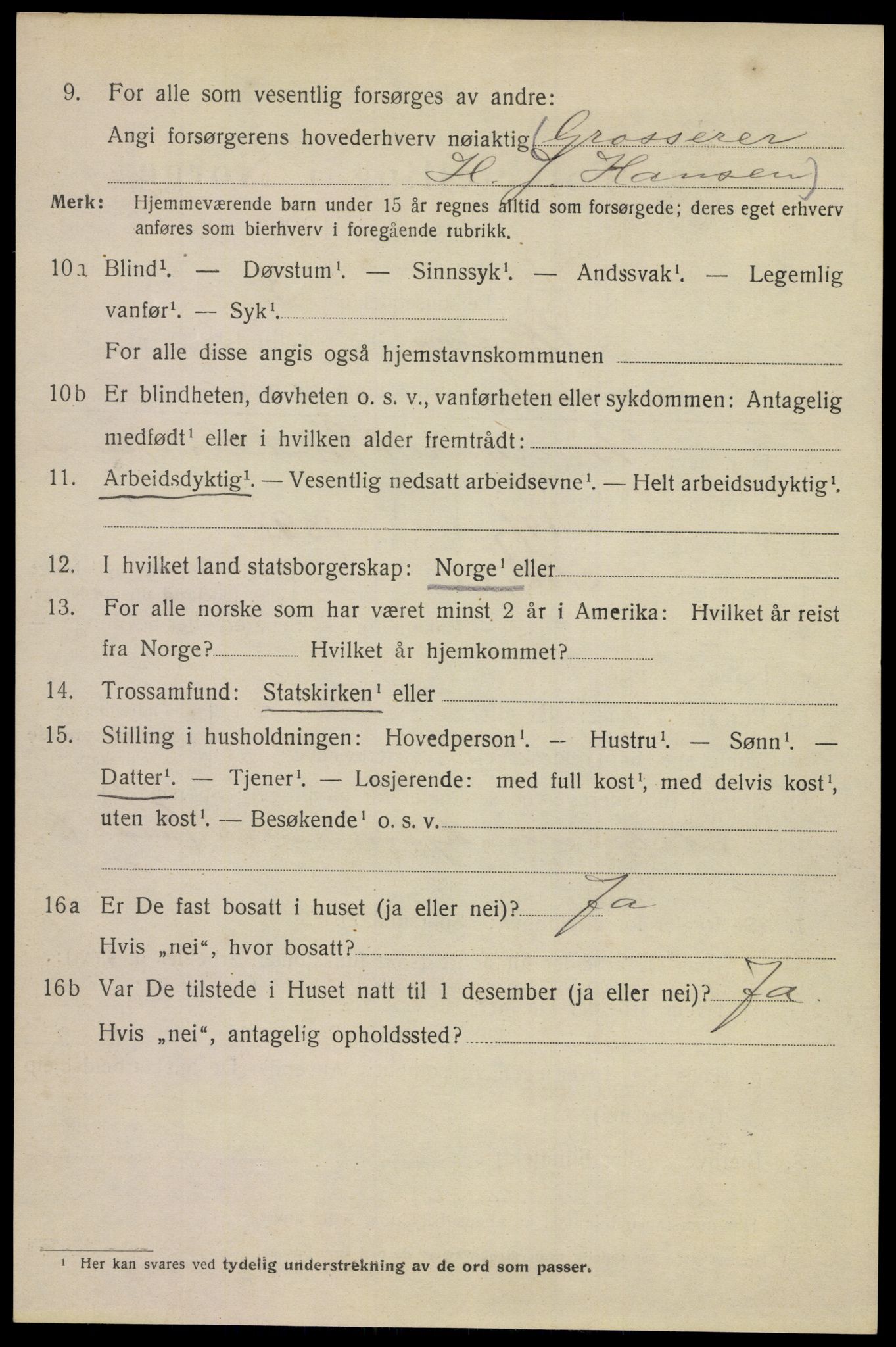 SAKO, 1920 census for Skien, 1920, p. 41021