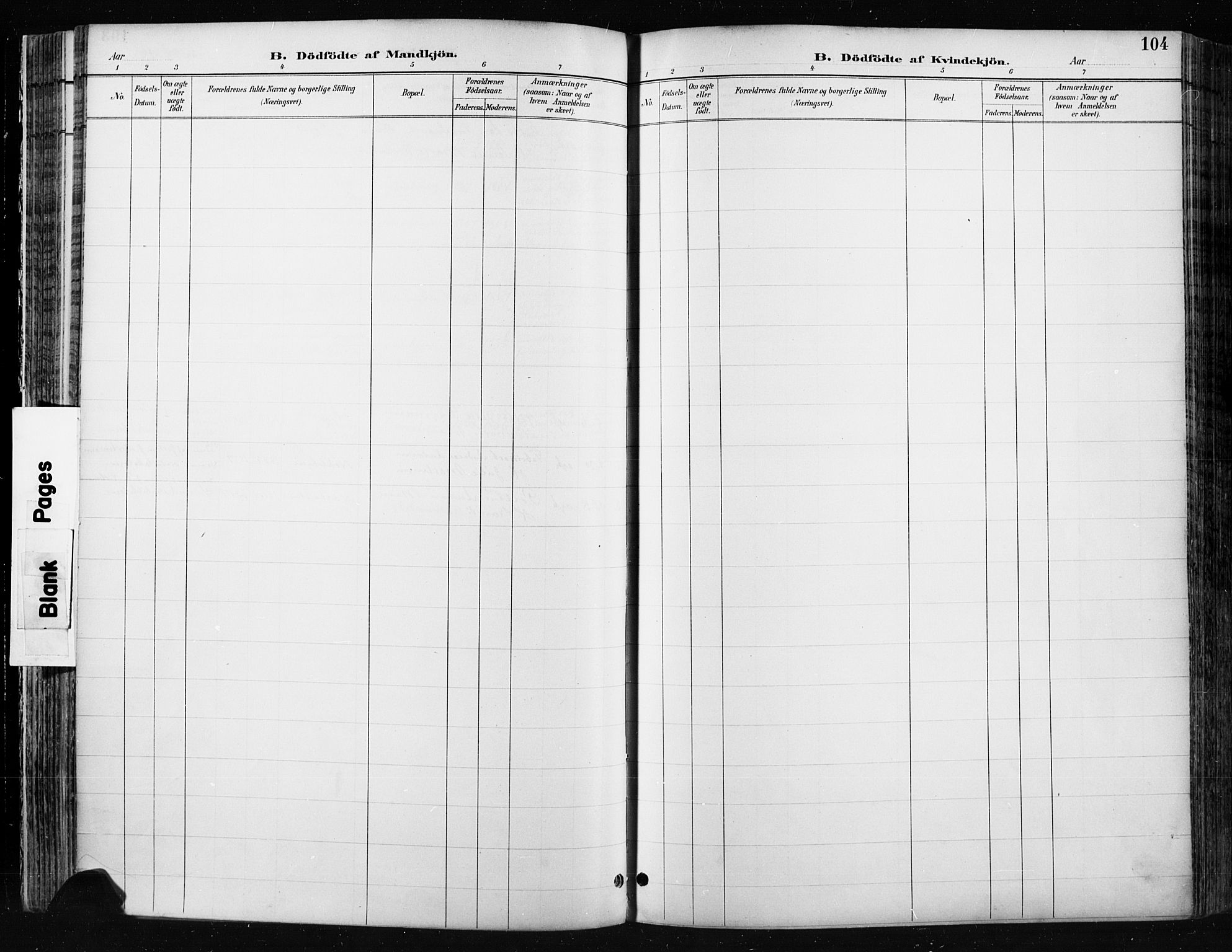 Jevnaker prestekontor, SAH/PREST-116/H/Ha/Haa/L0009: Parish register (official) no. 9, 1891-1901, p. 104