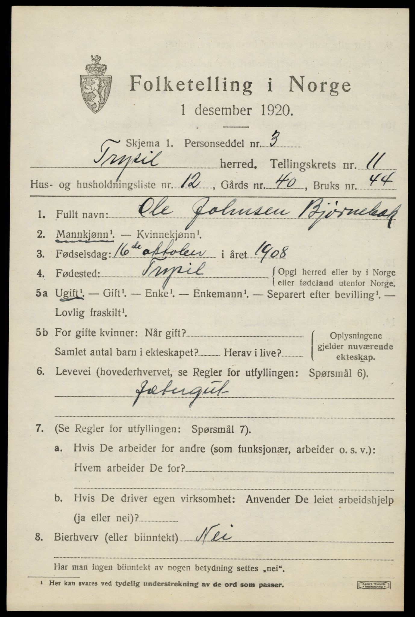 SAH, 1920 census for Trysil, 1920, p. 7101