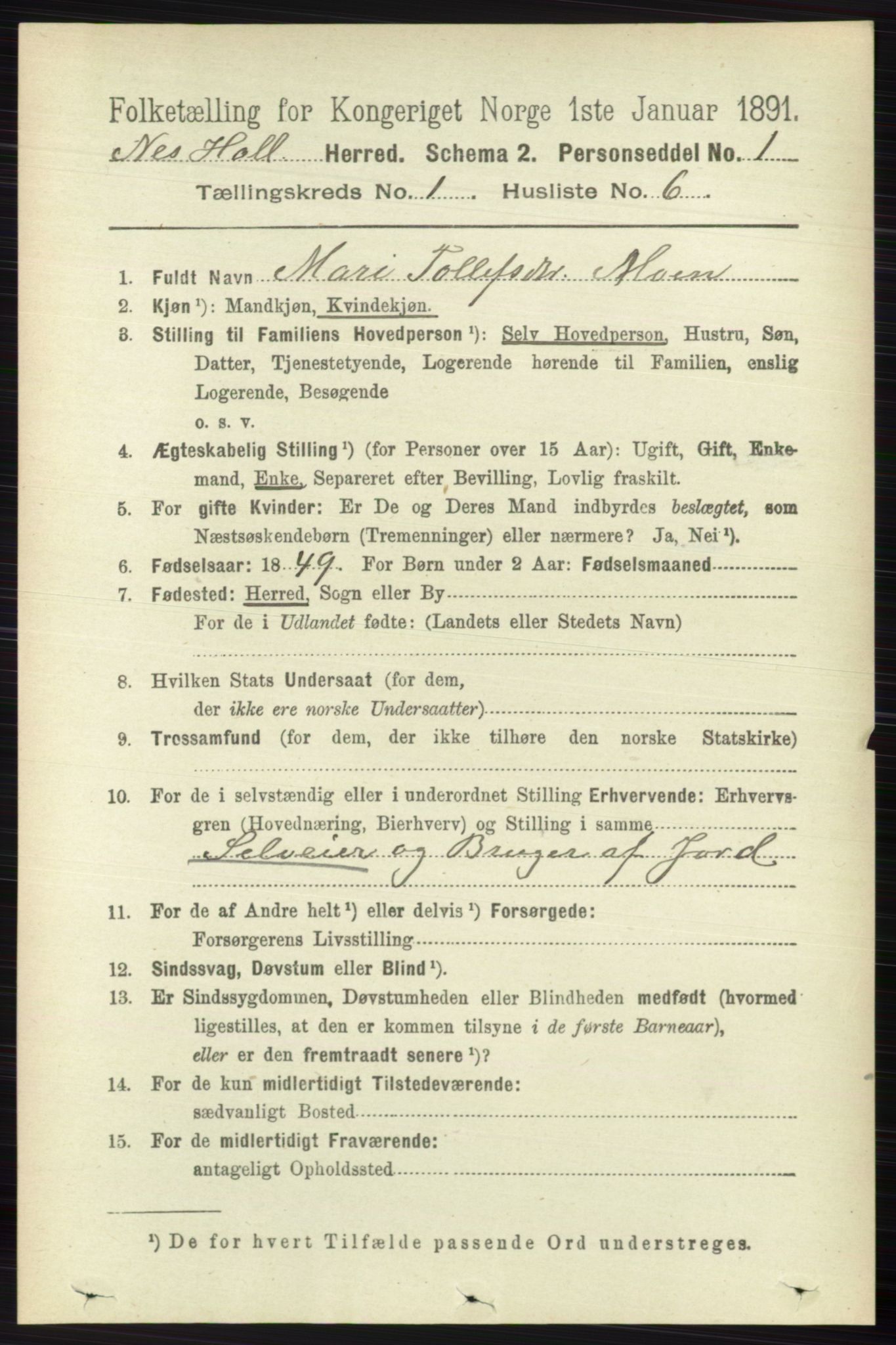 RA, 1891 census for 0616 Nes, 1891, p. 206