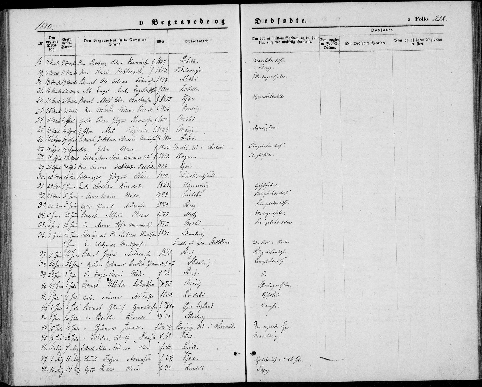 Oddernes sokneprestkontor, AV/SAK-1111-0033/F/Fb/Fba/L0007: Parish register (copy) no. B 7, 1869-1887, p. 228